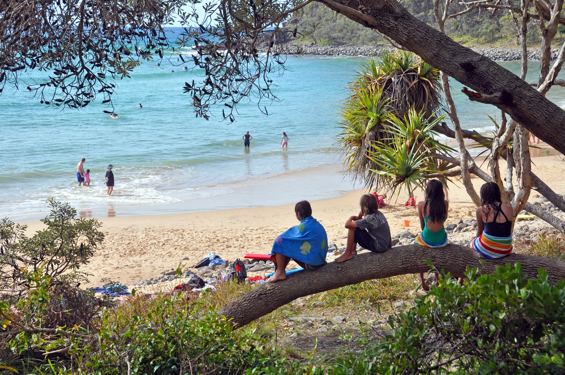 Noosa My Life In The Sunshine Nz Herald