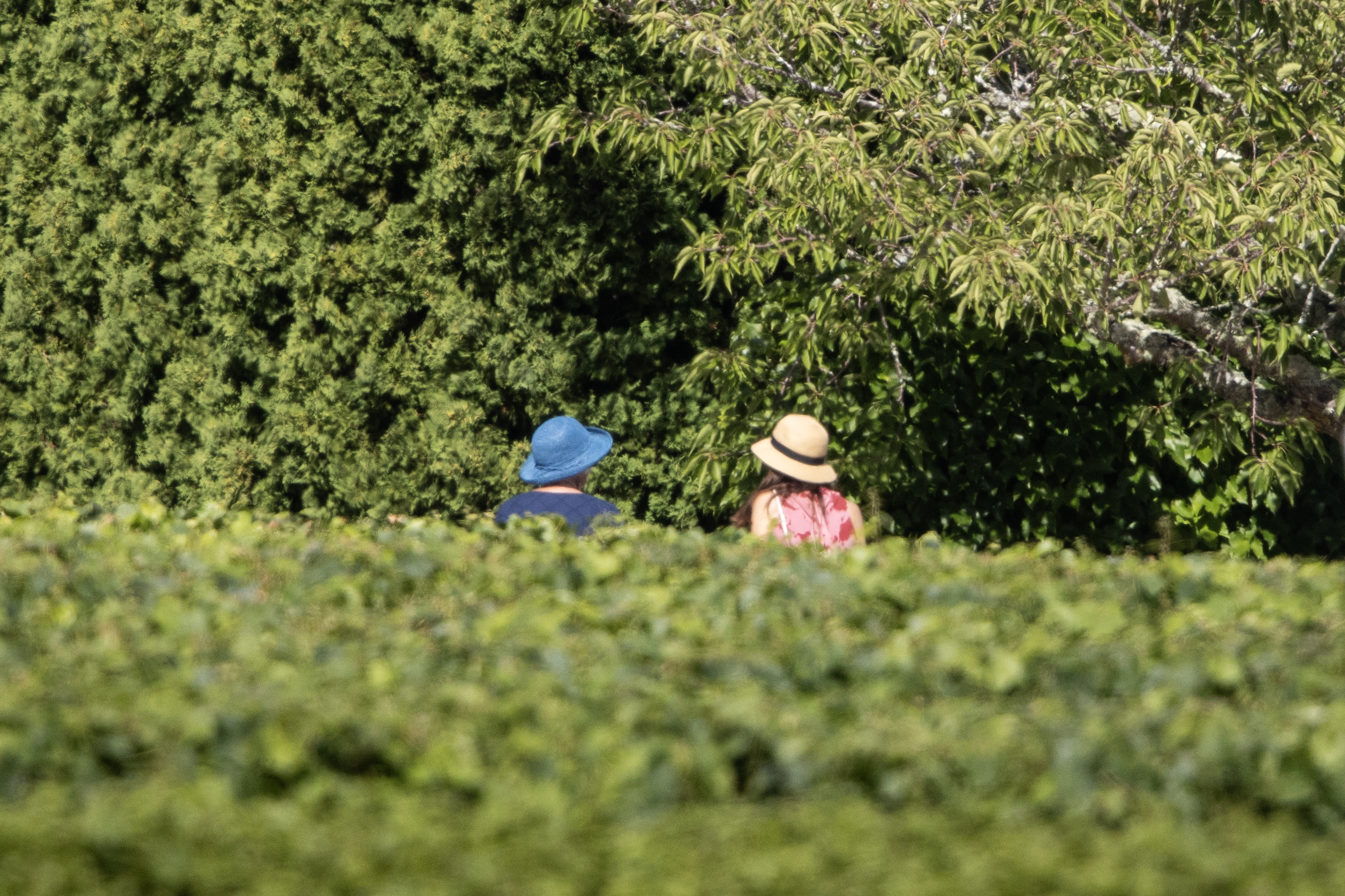 Former Prime Minister Jacinda Ardern pictured with a close relative at the wedding venue. Photo / George Heard
