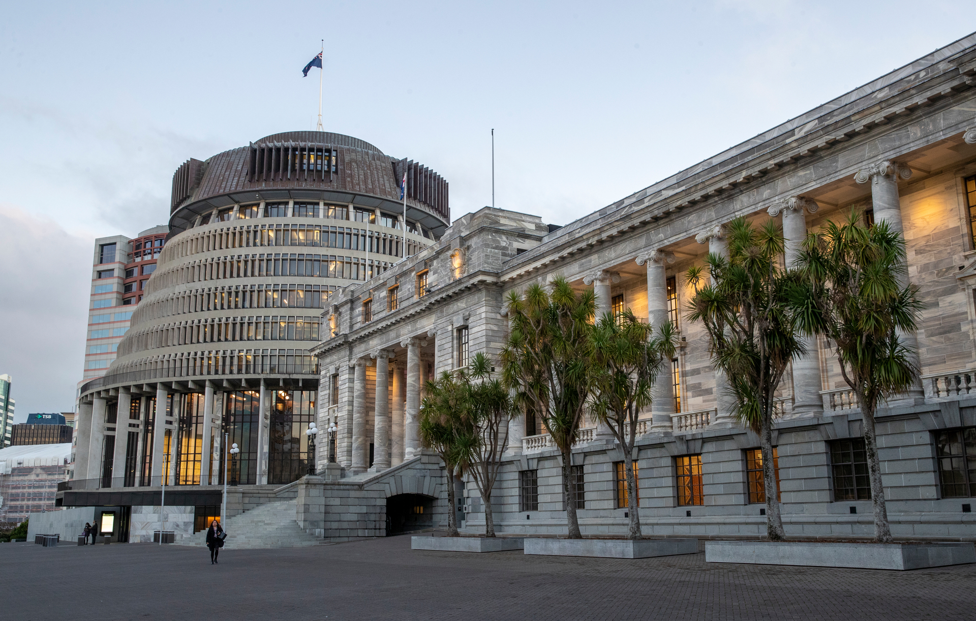 The next election will be our 10th under the MMP electoral system. Photo / Mark Mitchell