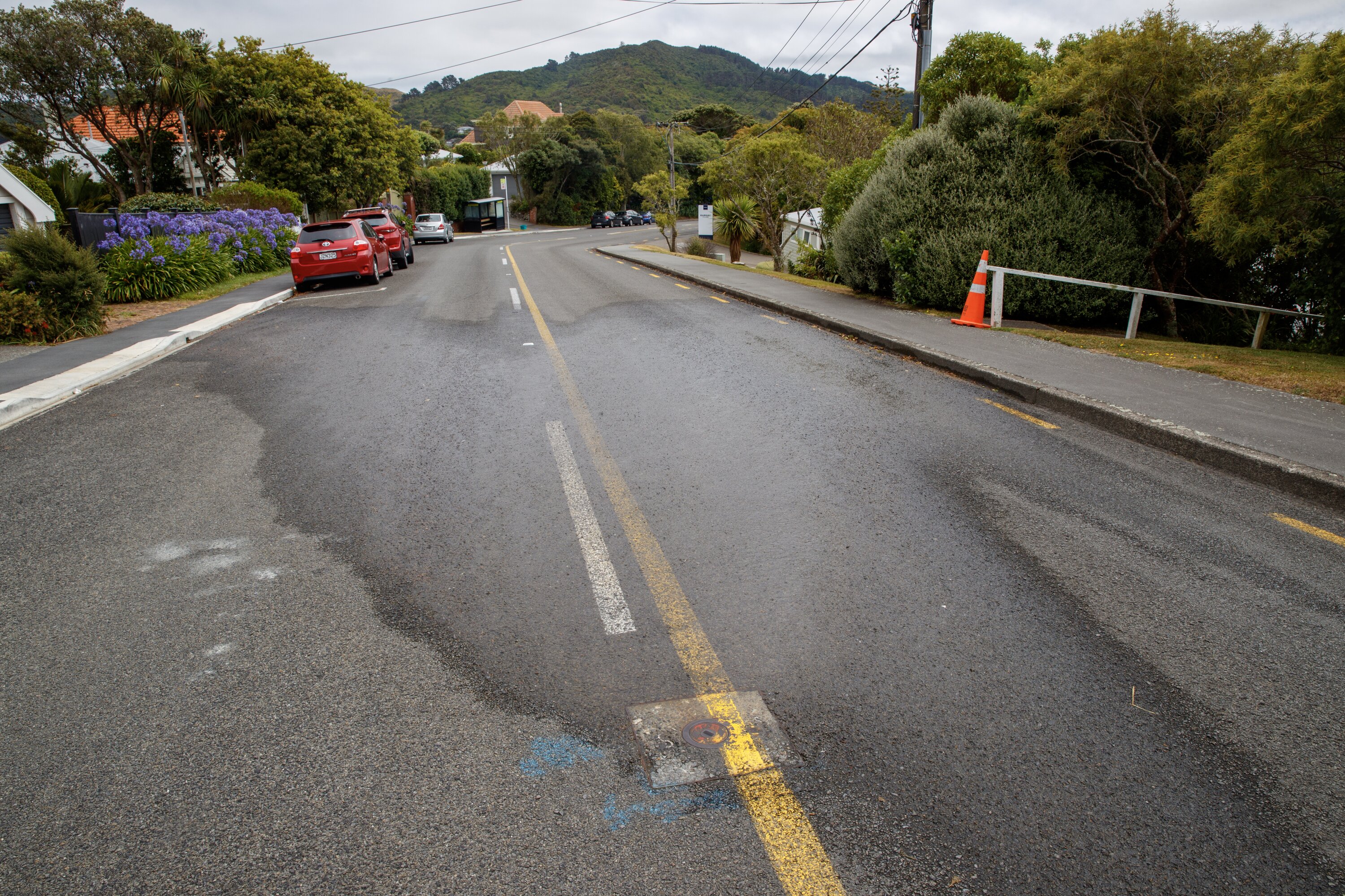 Upper Hutt Mayor Wayne Guppy said Wellington Water had “gone from crisis to crisis”. Photo / Mark Mitchell