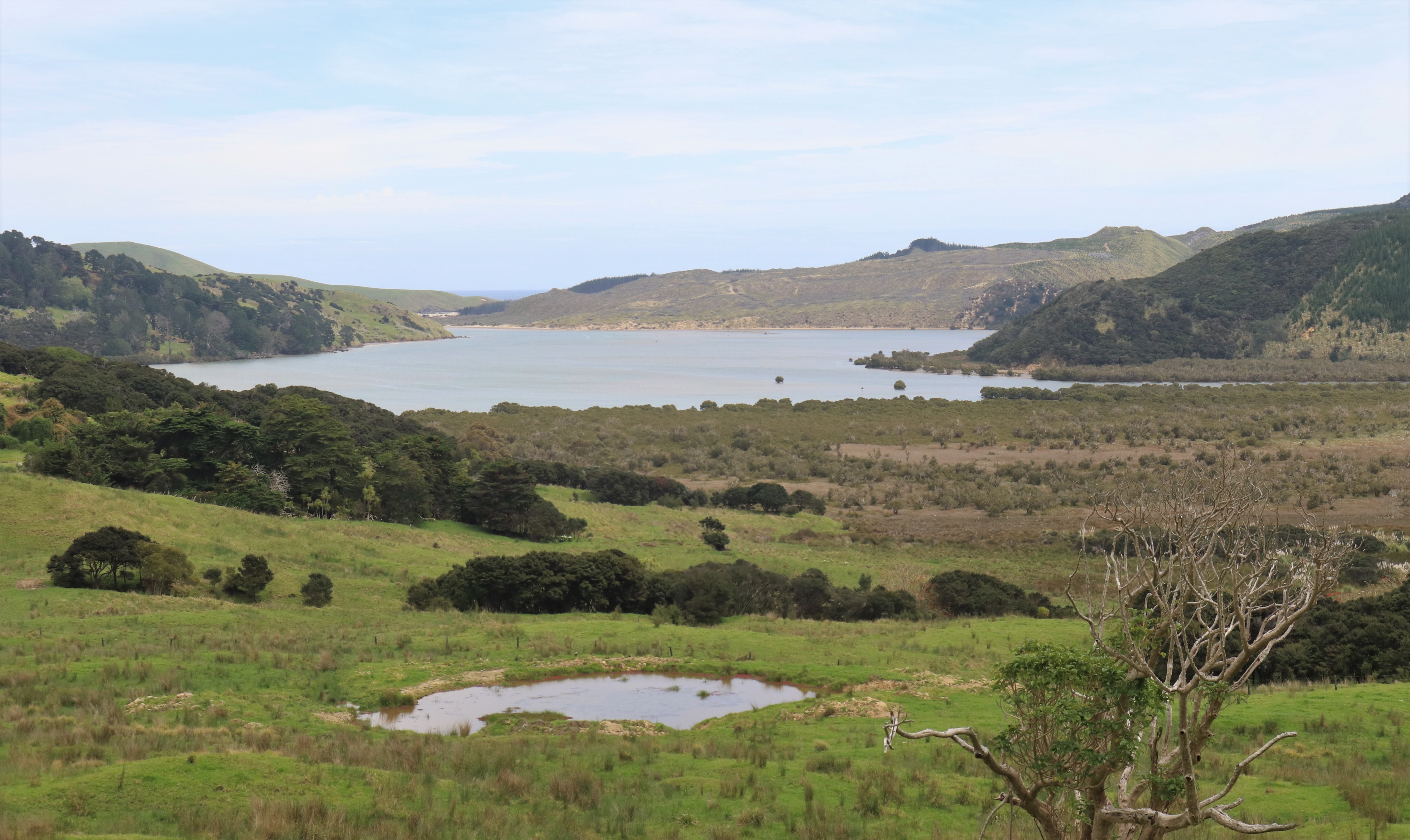 A police spokeswoman confirmed a body had been found in the Tanutanu Stream, near Ahipara in the Far North, but said it hadn’t been formally identified yet. The teenager went missing near the Herekino Harbour (pictured). Photo / Peter de Graaf