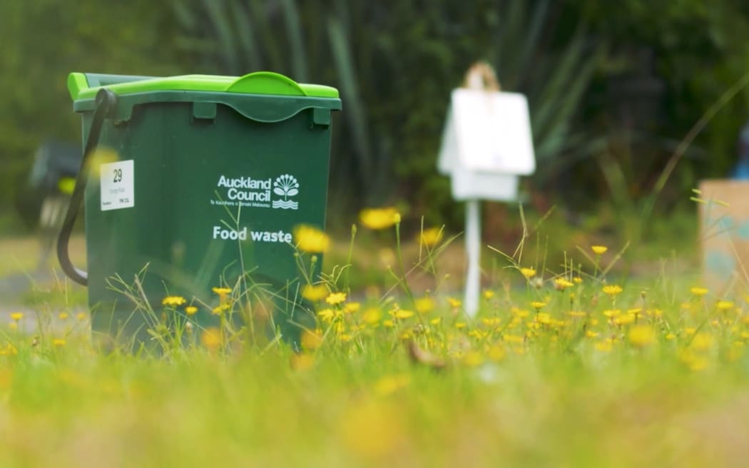 An Auckland Council food waste bin.