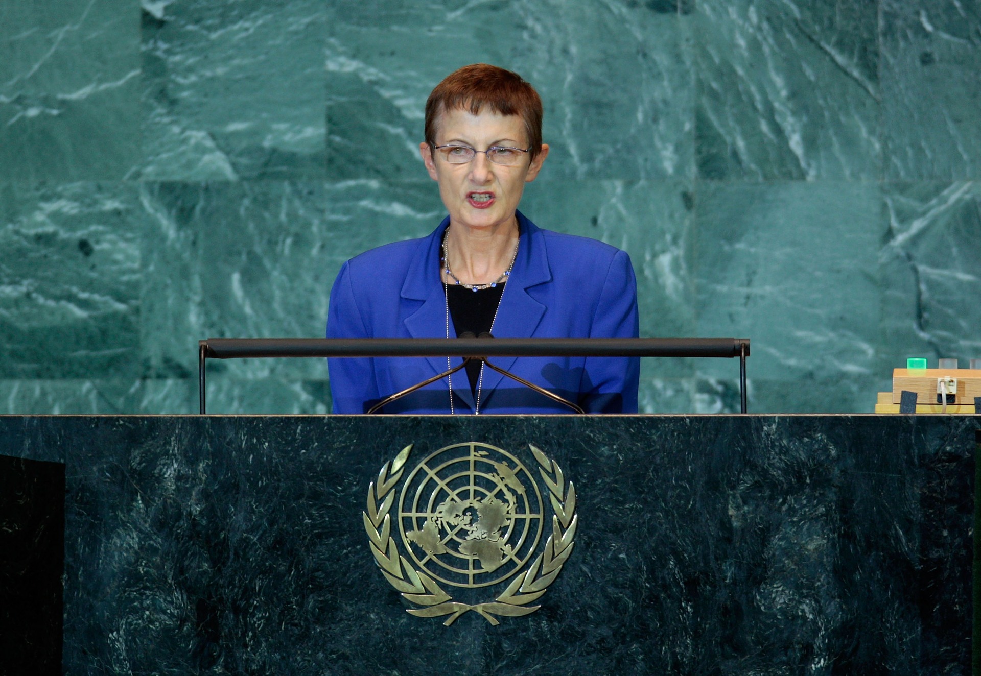 Banks, pictured in 2008, addresses the UN General Assembly at the United Nations in New York. Photo / Getty Images