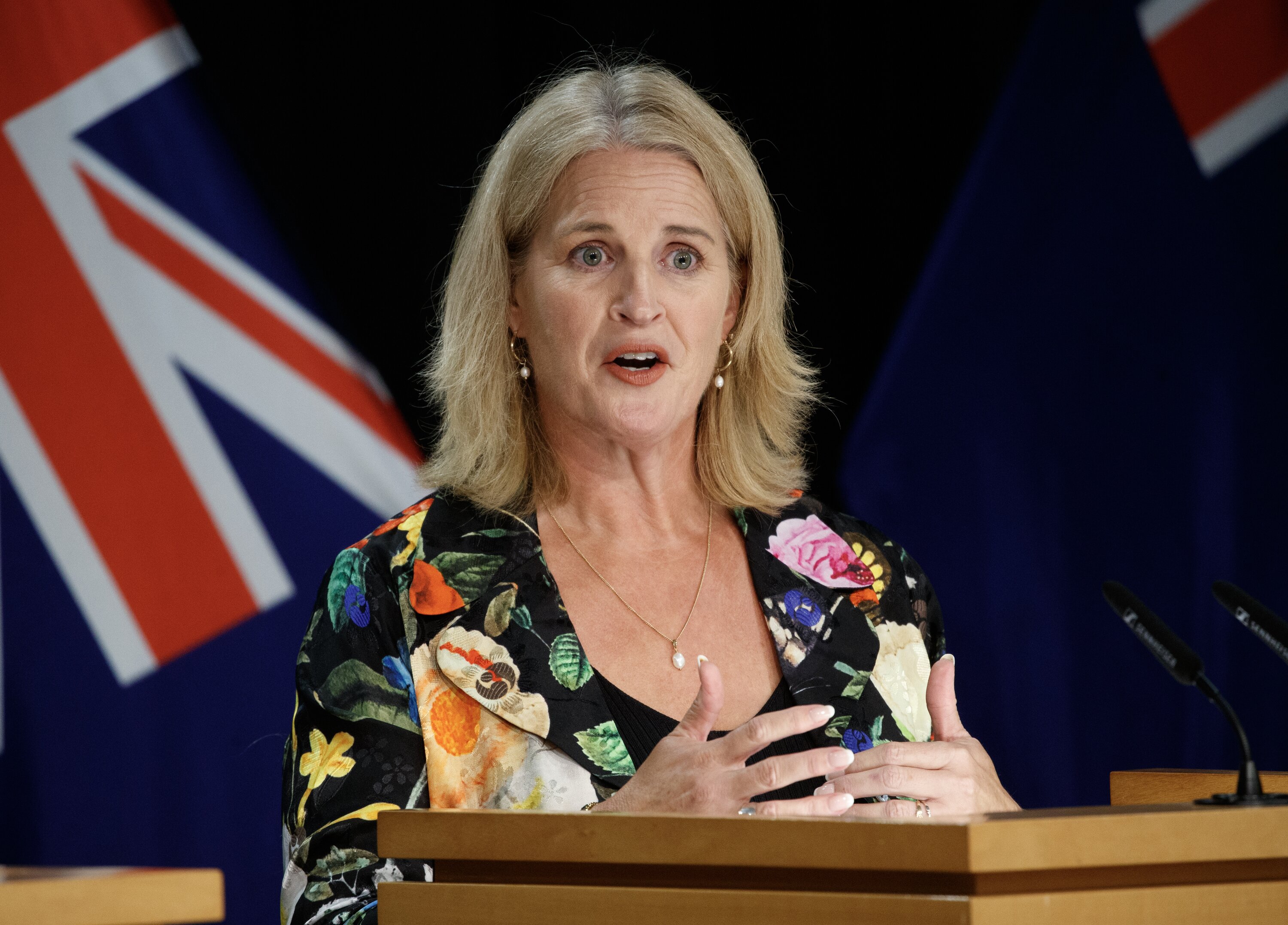 Louise Upston earlier this year at a press conference on social welfare. Photo / Mark Mitchell