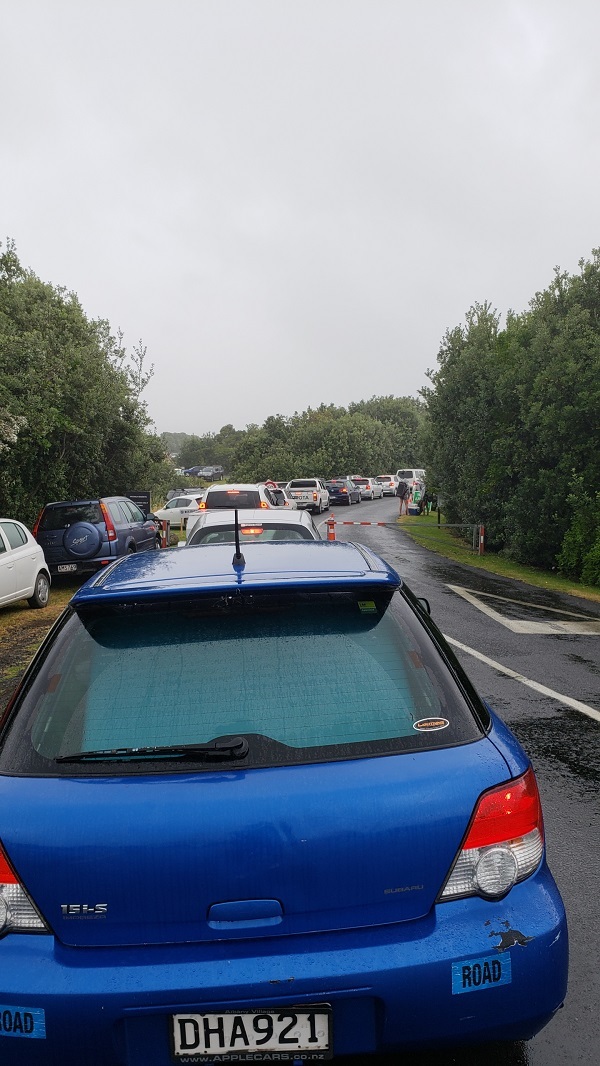 The queue at Soundsplash is reportedly stretching from Wainui Beach to Raglan town. Photo / Supplied