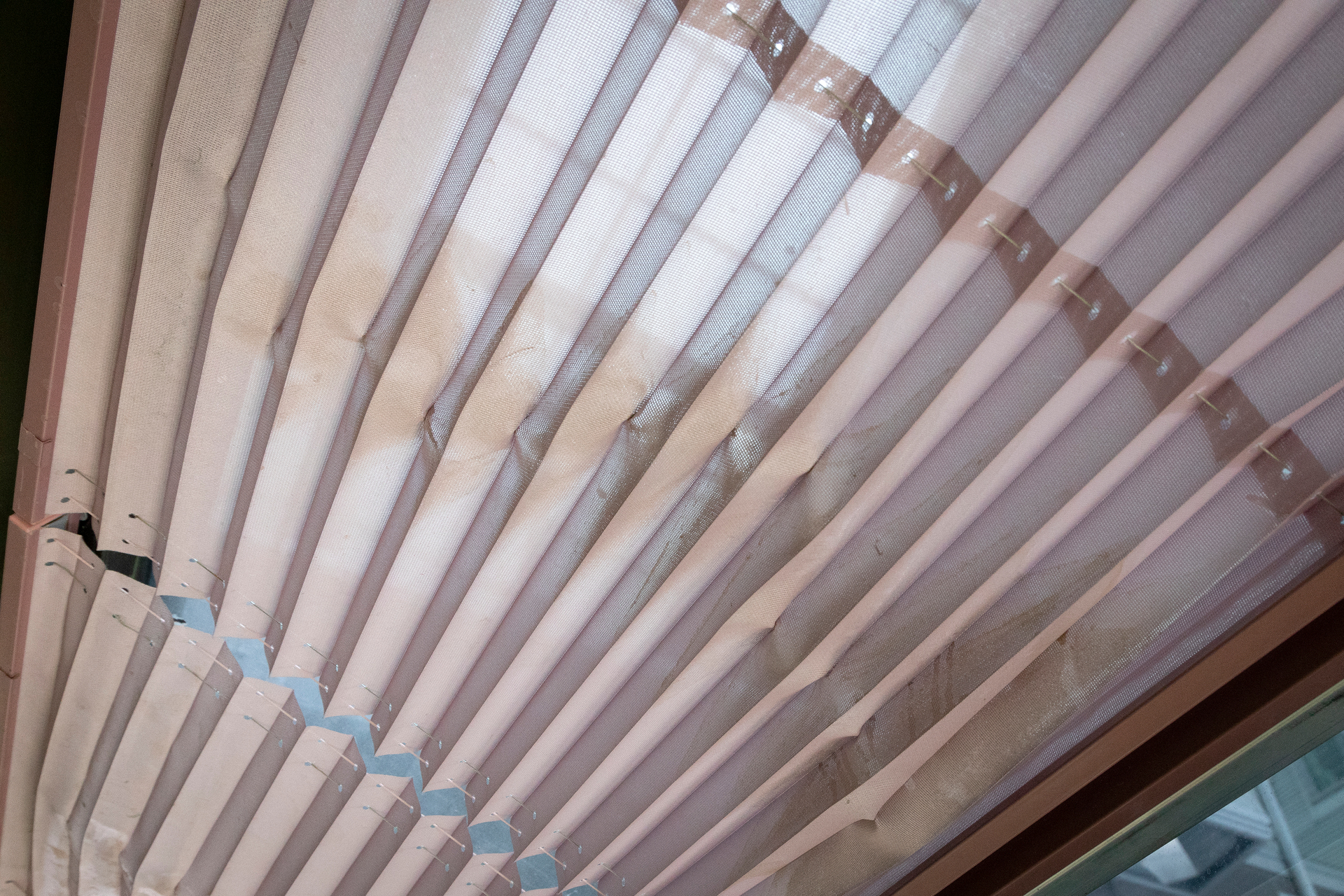Pools of dusty mould sit on pink blinds in the Tauranga City Council's first-floor office space, an area that has been sealed off since 2014's evacuation. Photo / Andrew Warner