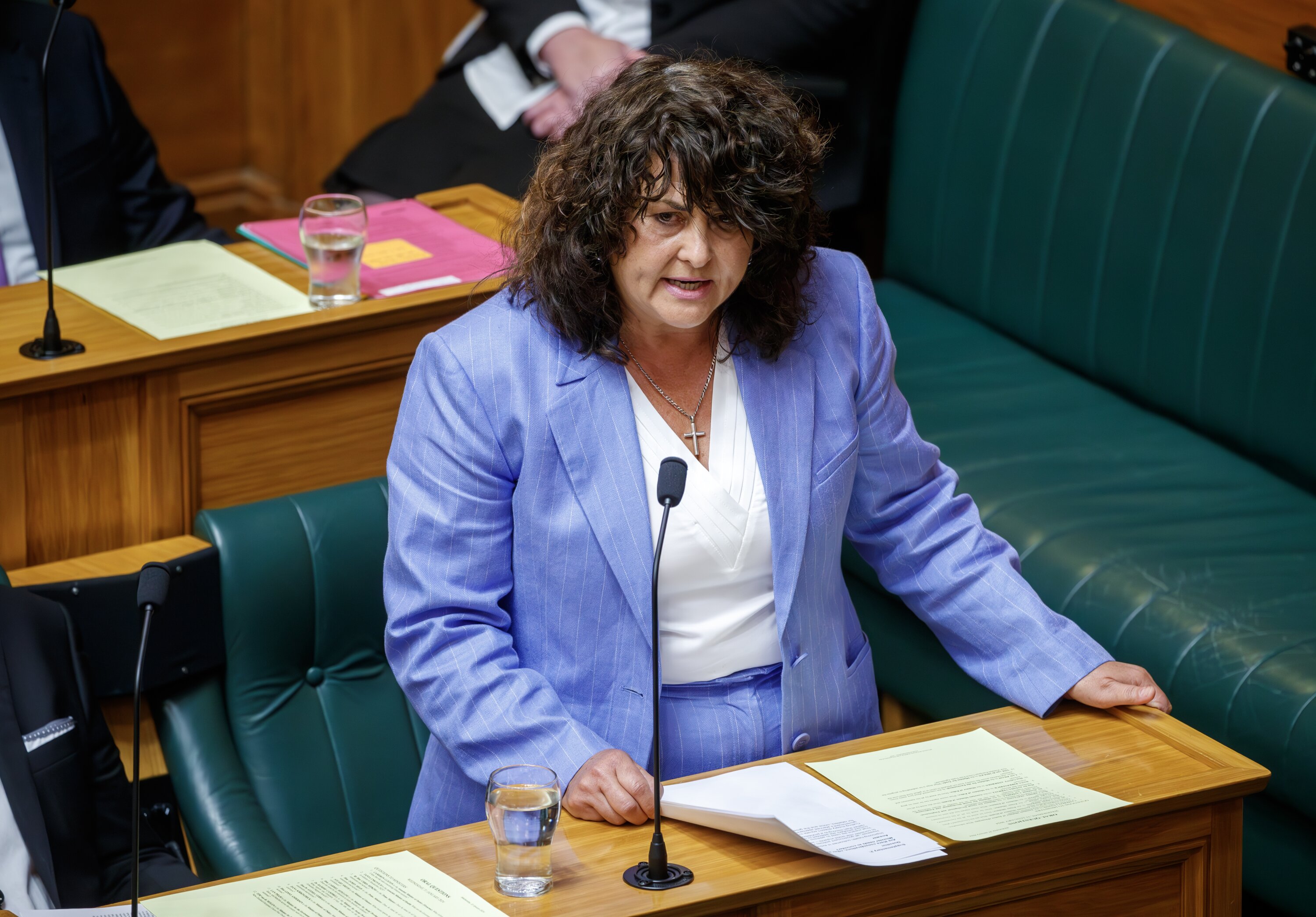 Casey Costello is the Seniors Minister. Photo / Mark Mitchell