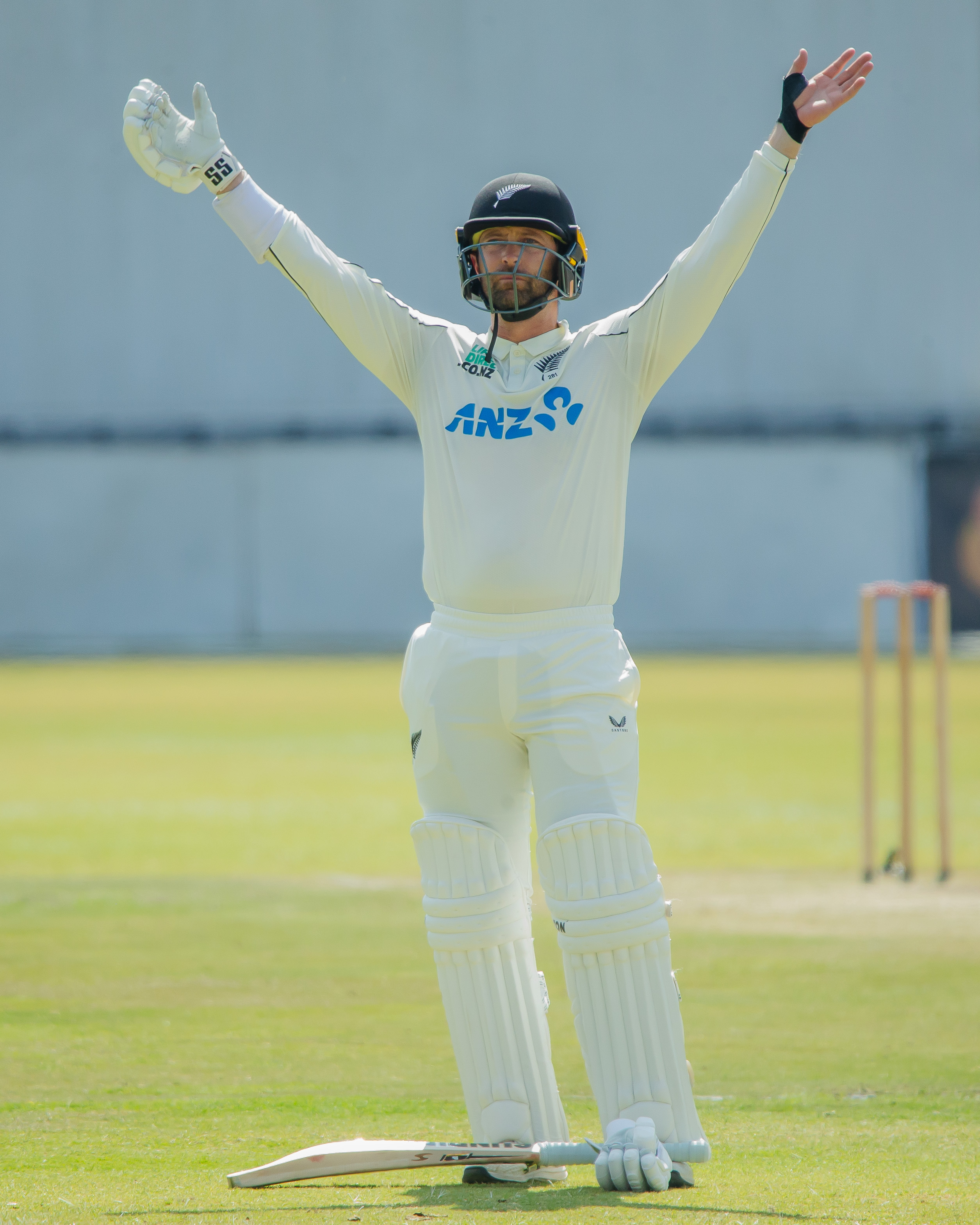 Devon Conway reached his fifth test century on day two of the second test between the Black Caps and Zimbabwe. Photo / Zimbabwe Cricket