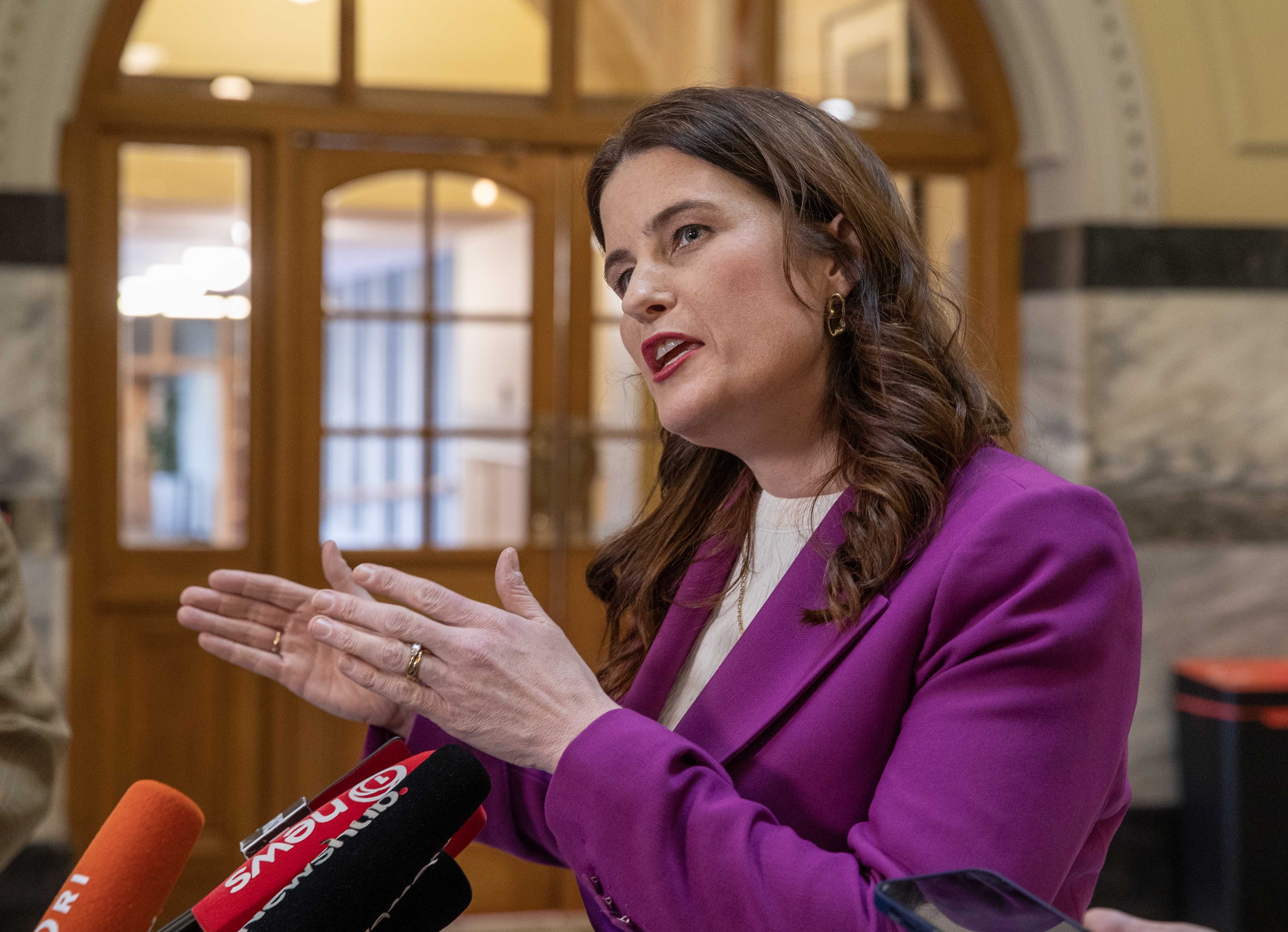 National finance spokeswoman Nicola Willis said the changes were too little too late. Photo / Mark Mitchell