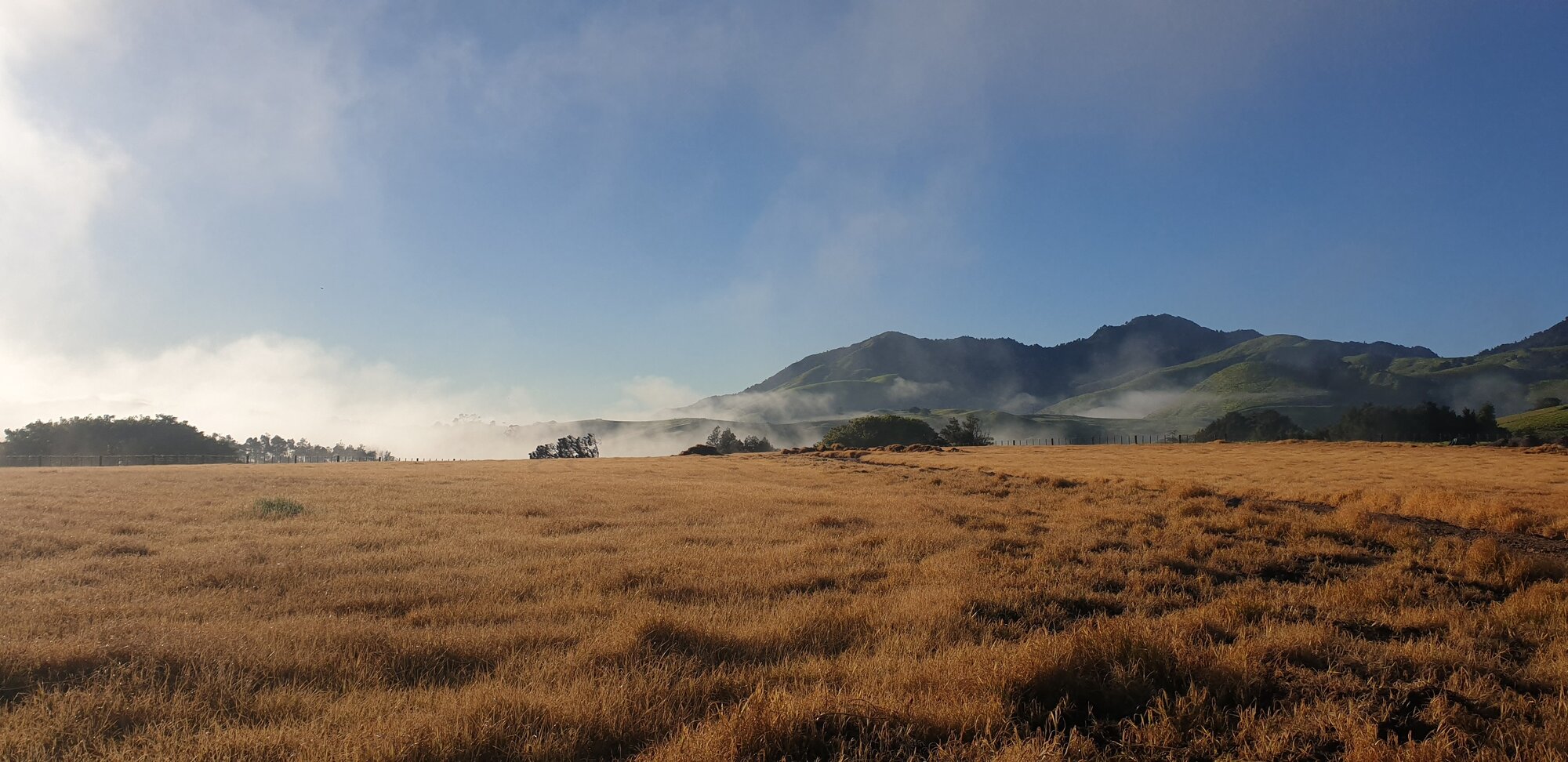 The dry conditions have impacted Northland's western areas the most, such as this farmland in Tangiteroria. Photo / Kaipara District Council