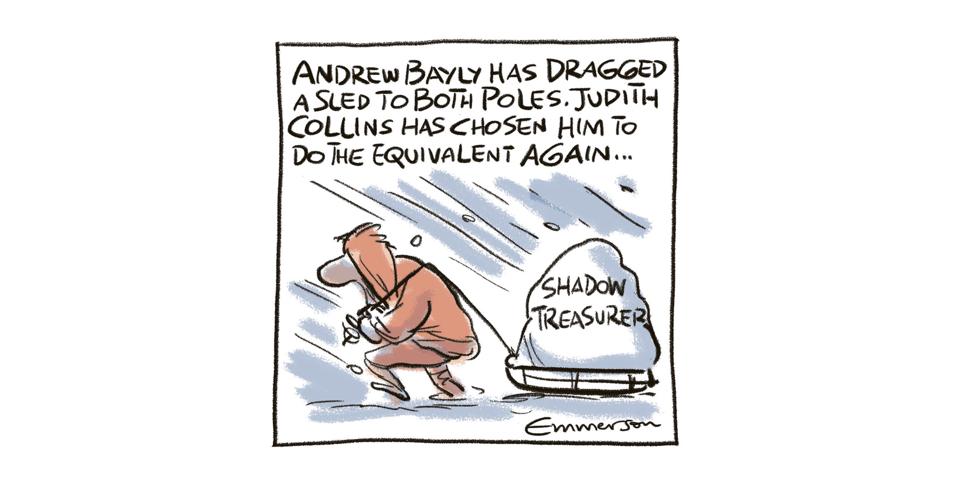 The view of Herald cartoonist Rod Emmerson in November when Judith Collins chose Andrew Bayly as shadow Treasurer.