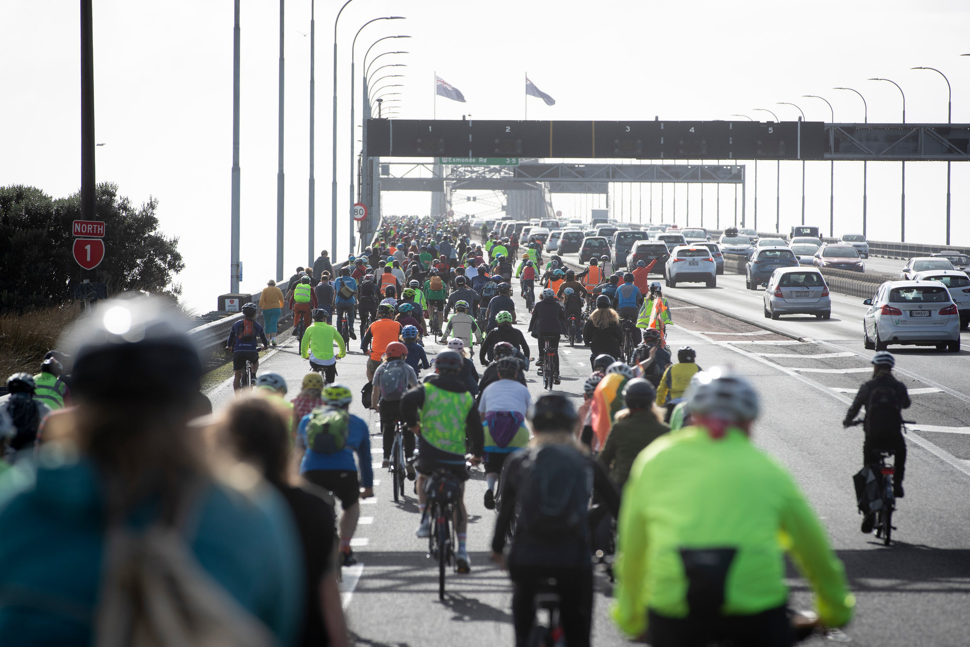 Tim Welch says a more sustainable solution is to reallocate lanes on the existing bridge for public transport, walking, and cycling. Photo / Dean Purcell.