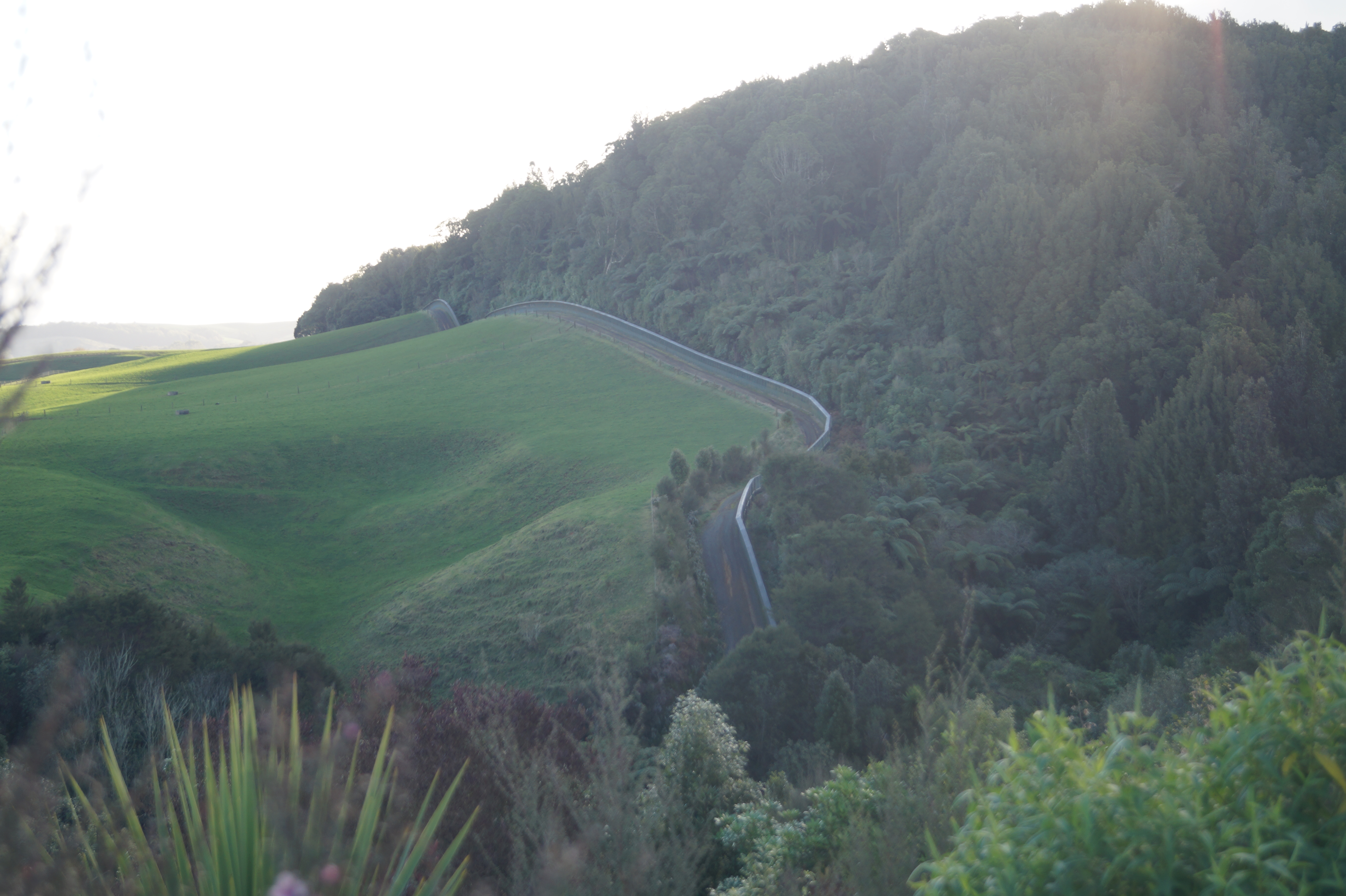 Sanctuary Mountain covers an area of 3400 ha, with 47 km of predator-proof fence. Photo / Danielle Zollickhofer