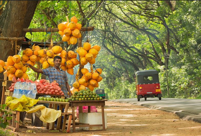 Sri Lanka is one of the countries that has topped the list of destinations with the best mental health. Photo / Getty Images