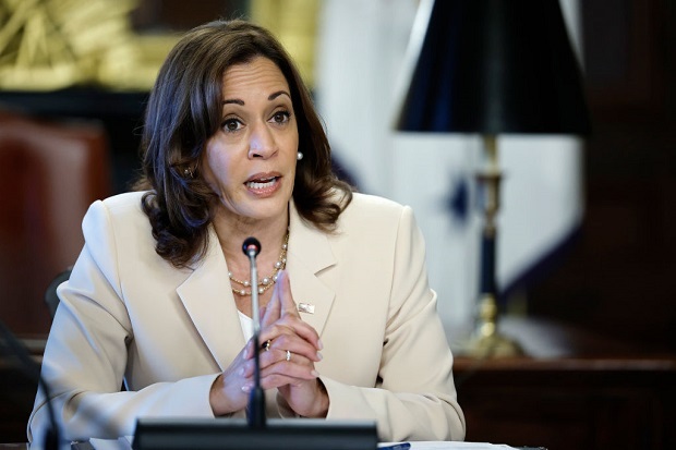 US Vice President Kamala Harris and the Biden administration have denounced Russia's actions in Ukraine as war crimes. Photo / AP