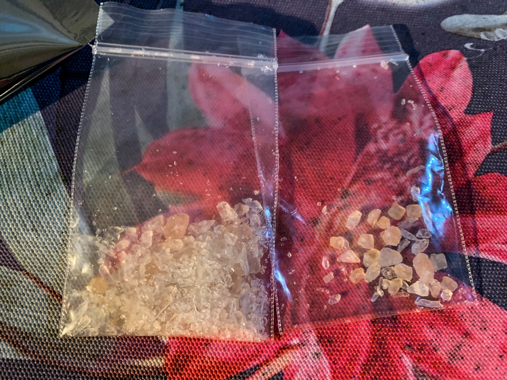 More than 300 officers terminated 37 search warrants across Waikato, Bay of Plenty, Auckland, Central and Wellington Districts in a coordinated operation. Photo / NZH