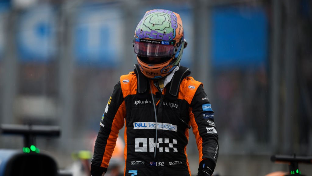 Daniel Ricciardo during the F1 Grand Prix of Hungary at Hungaroring. Photo / Getty