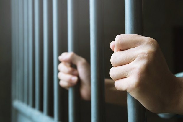 Family violence is without question the most significant and consequential problem in crime and justice. Photo / Getty Images