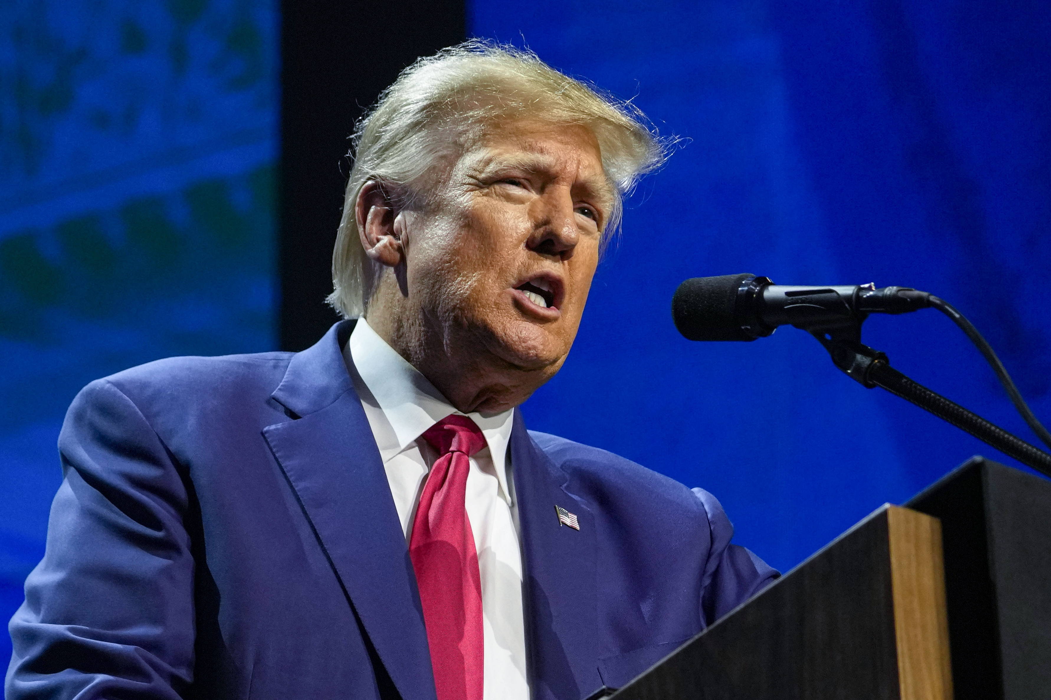 Donald Trump has denied sexually assaulting E Jean Carroll. Photo / AP