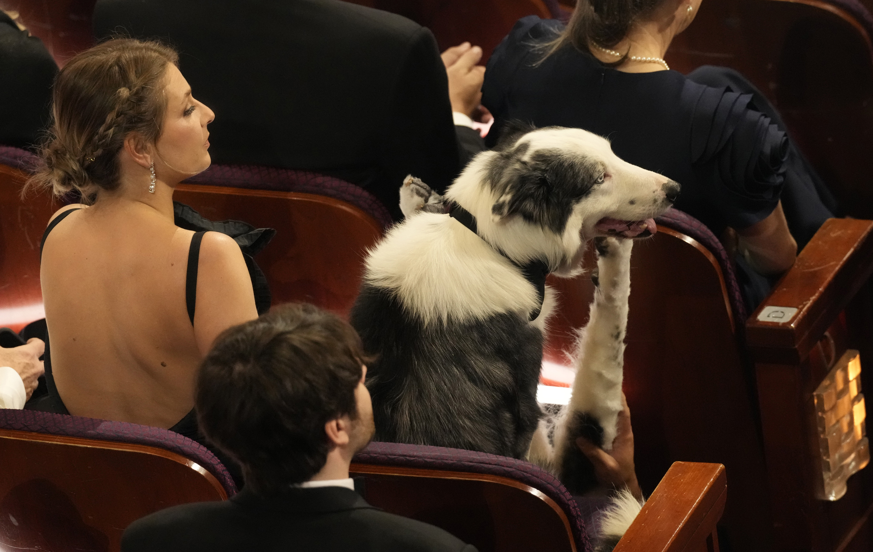 Of course Messi sits on command. Photo / AP