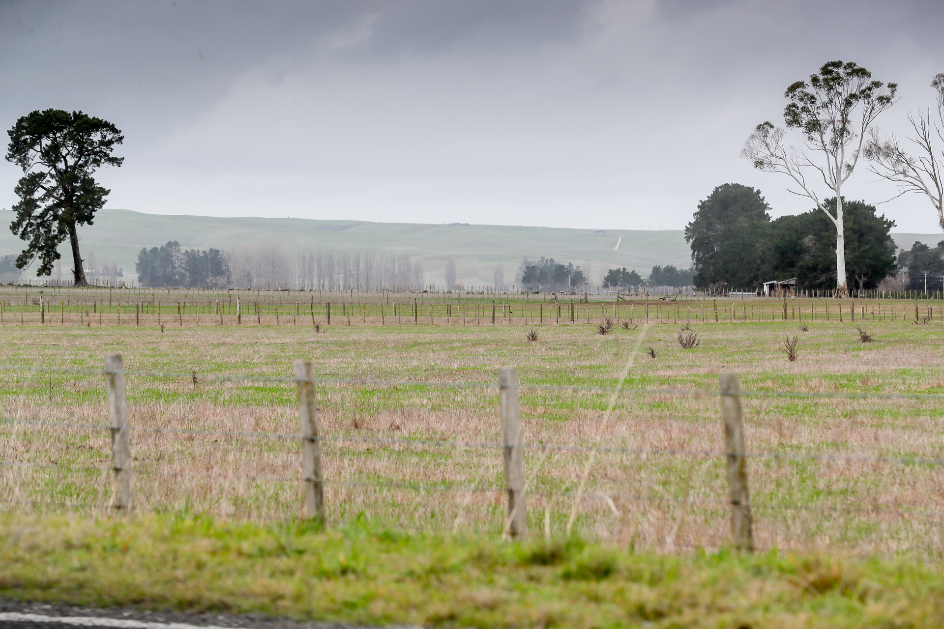 While the first proper rainfall in June seemed to spell the end of the Hawke's Bay drought, the classification remains in place nine months on. Photo / File
