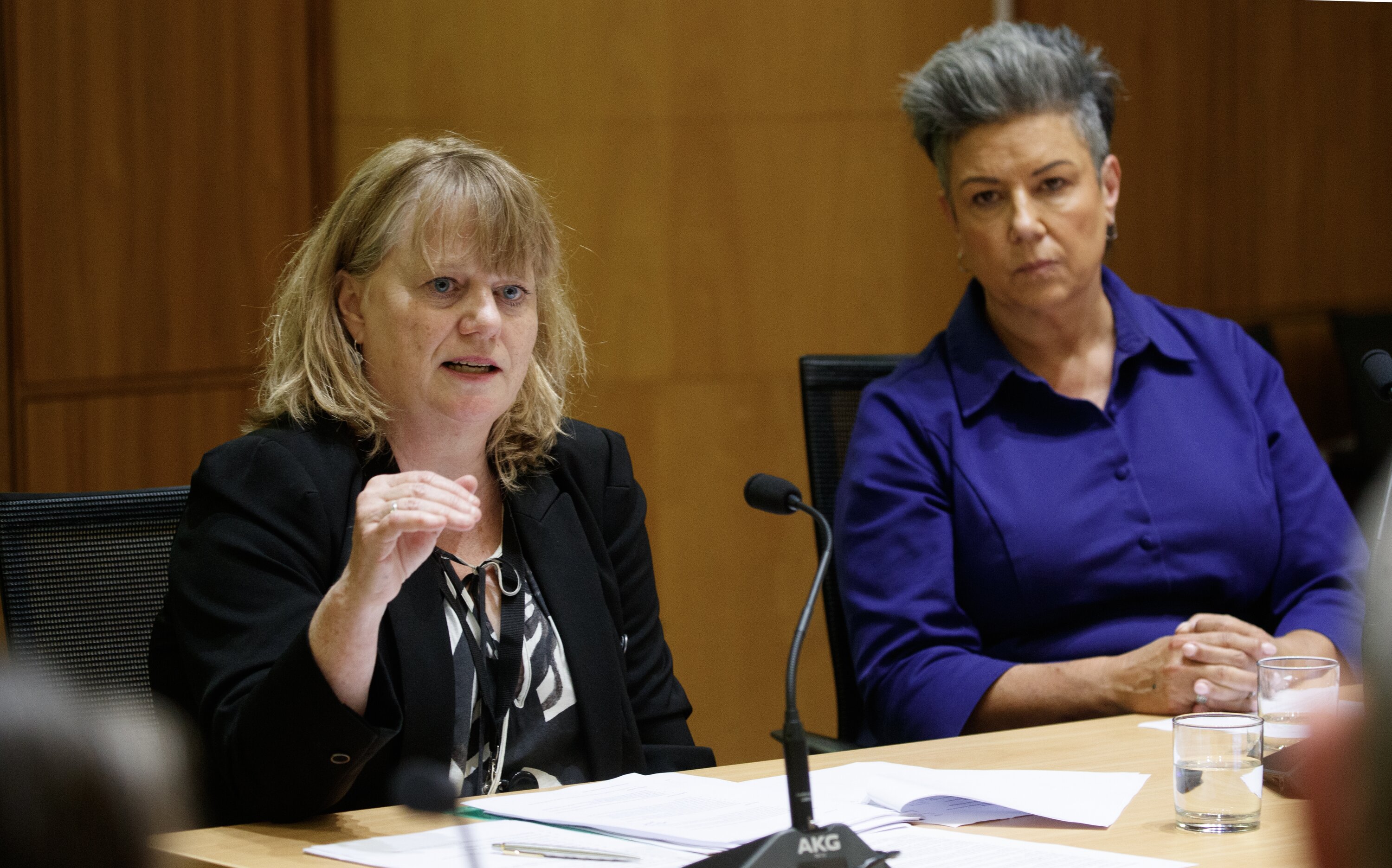 Pharmac chief executive Sarah Fitt (left) speaks as chairwoman Paula Bennett looks on, after the agency is criticised for a recent supplier switch. Photo / Mark Mitchell
