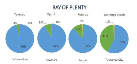 Police wastewater results show that about 90 per cent of drug use out of methamphetamine, cocaine and MDMA in the eastern Bay of Plenty is methamphetamine. Source / Police