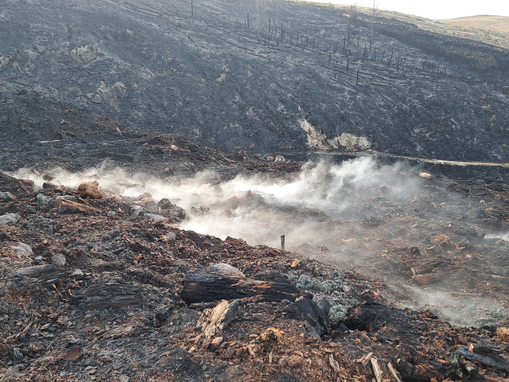 Half of the identified hotspots have been