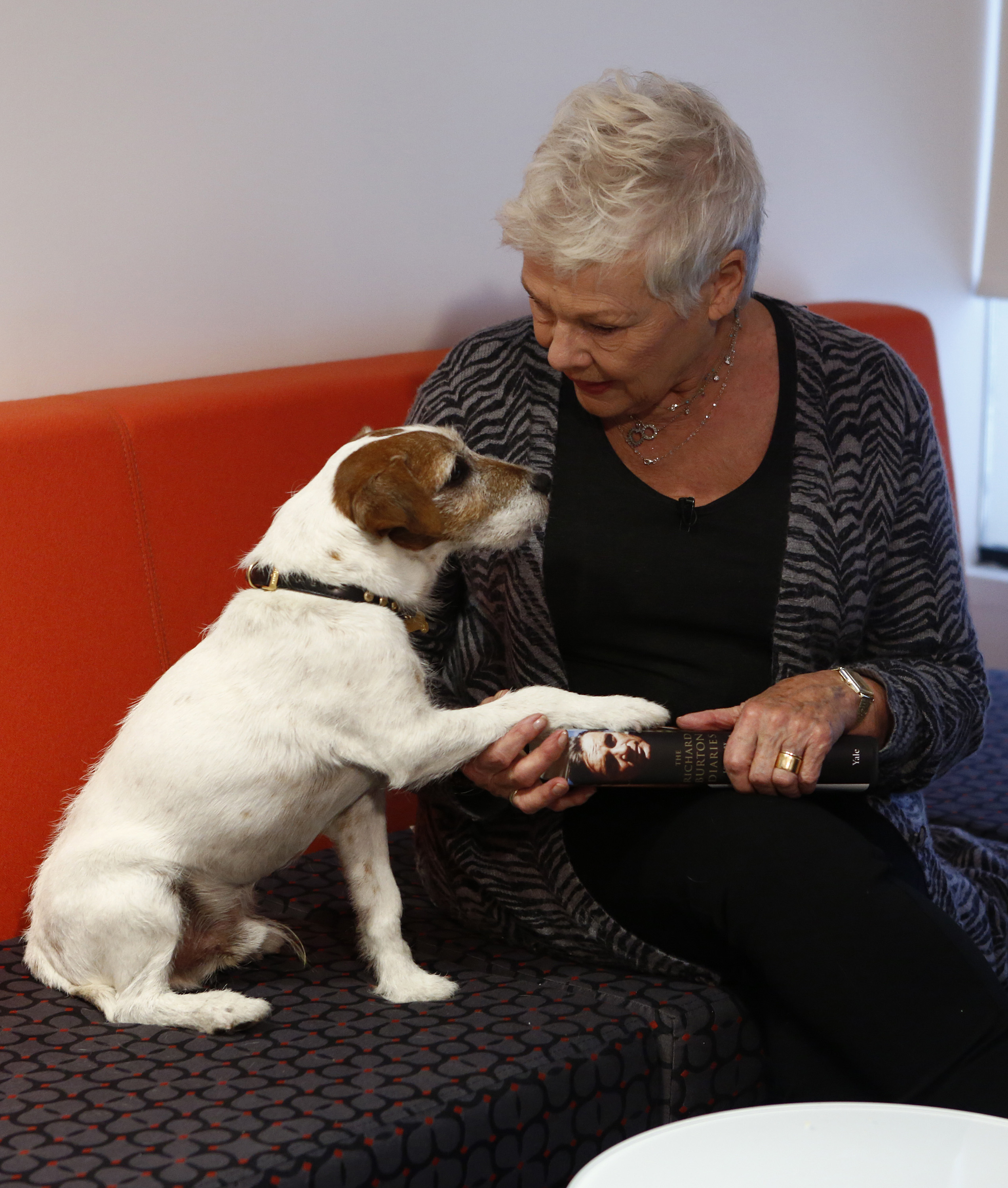Uggie had lots of famous friends, including Dame Judi Dench. Photo / Getty
