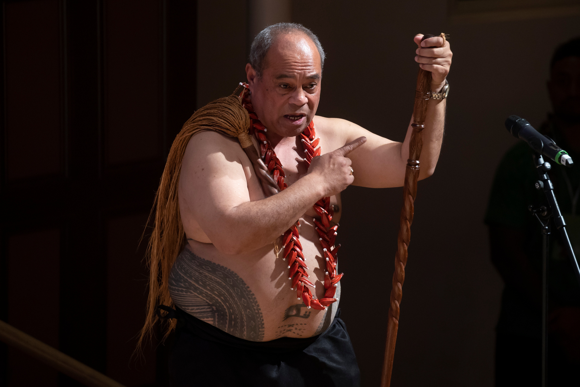 Minister for Pacific Peoples and proud Samoan Aupito William Sio. Photo / Brett Phibbs