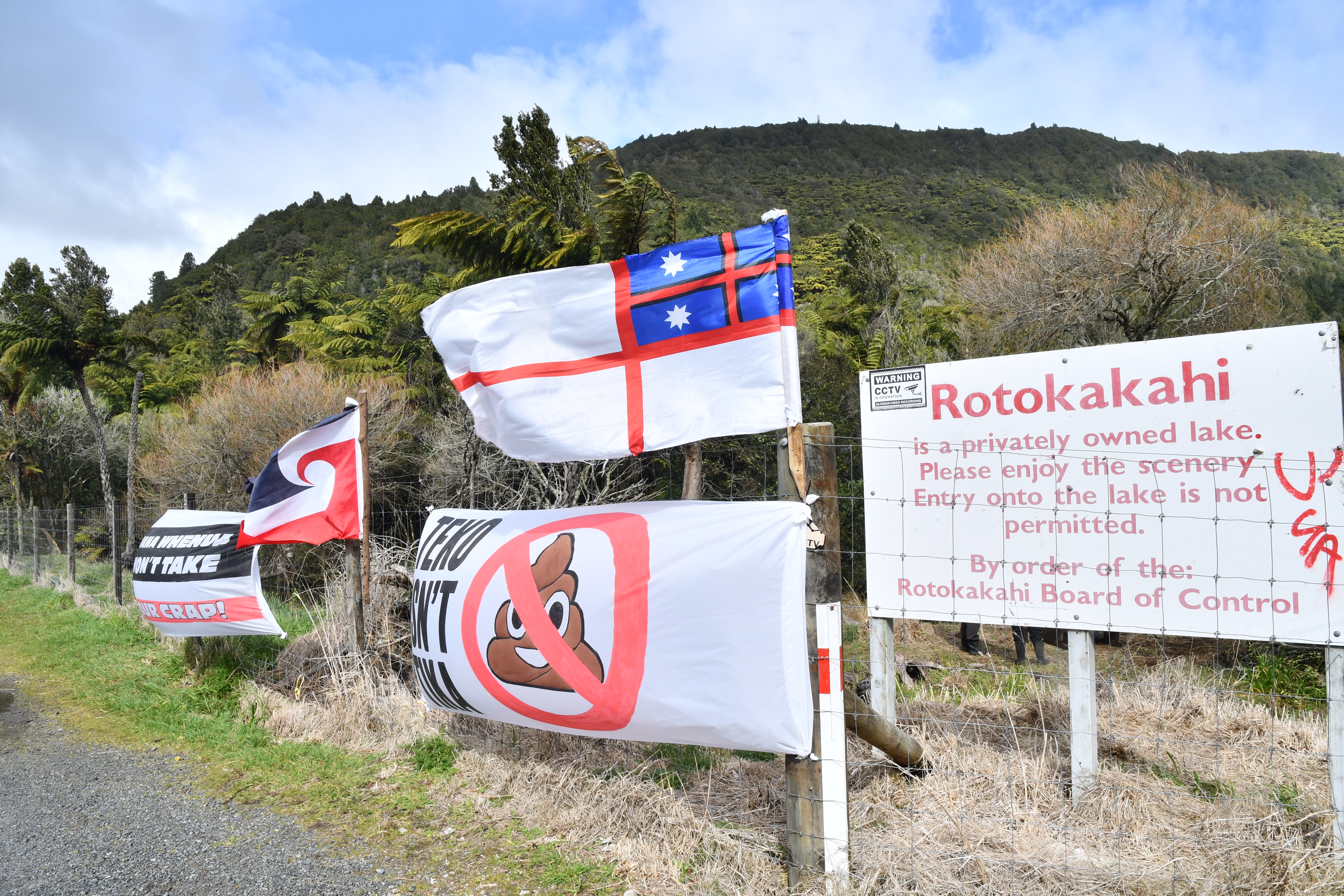 Anti-pipeline protest flags erected at Lake Rotokākahi. Photo / Laura Smith