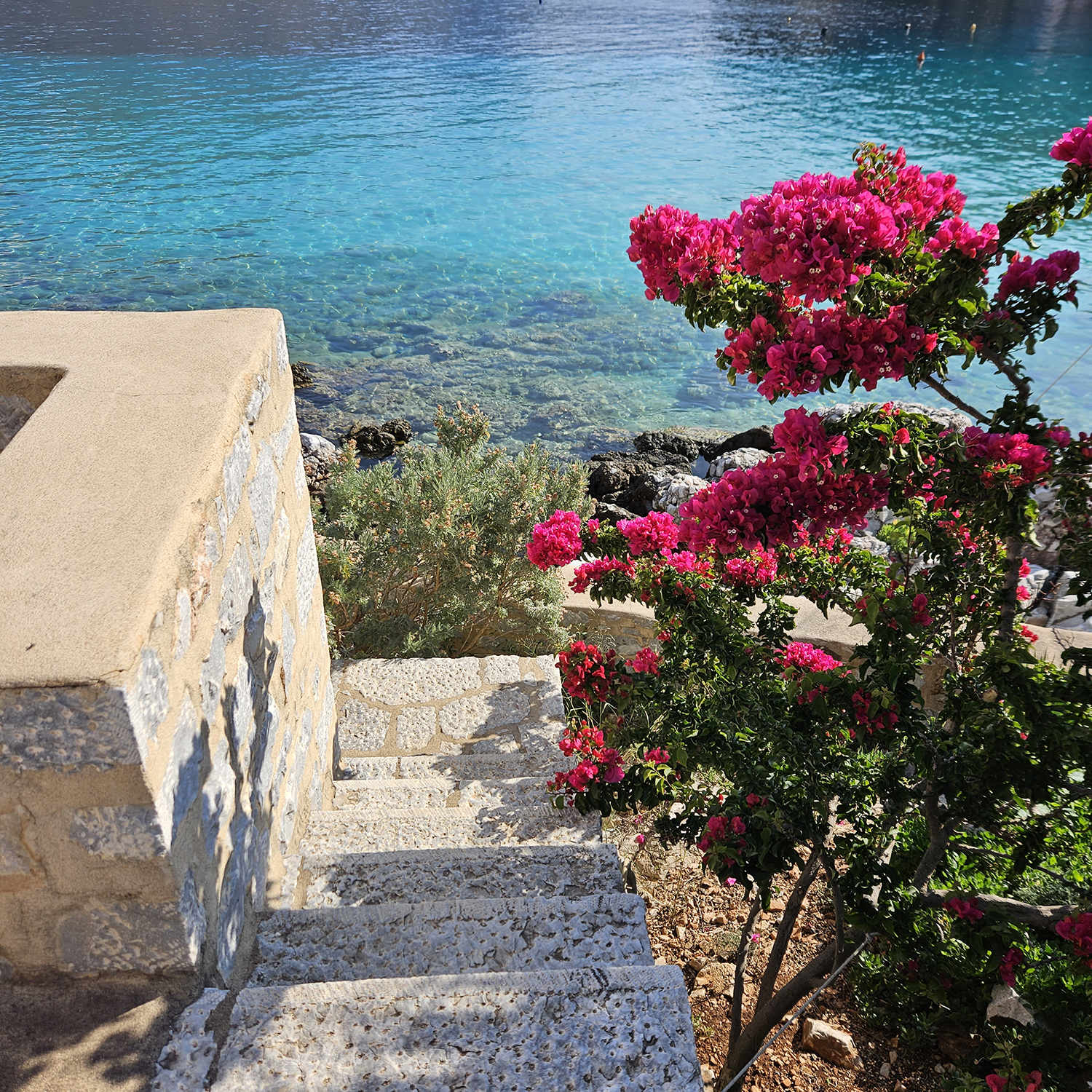 A bougainvillea and stairs in Limeni. Photo / Dianne Ludwig