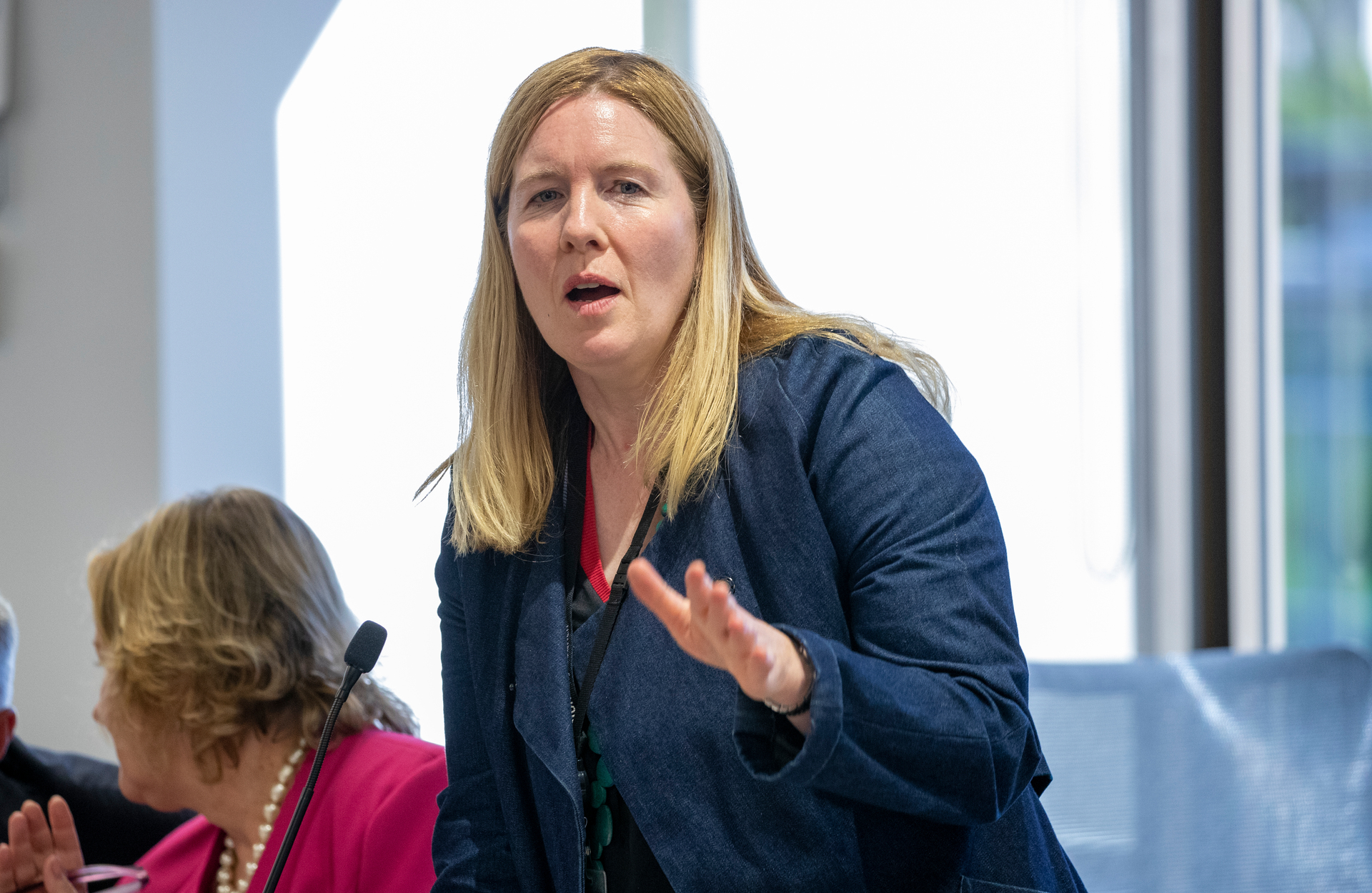 Wellington City councillor Iona Pannett. Photo / Mark Mitchell
