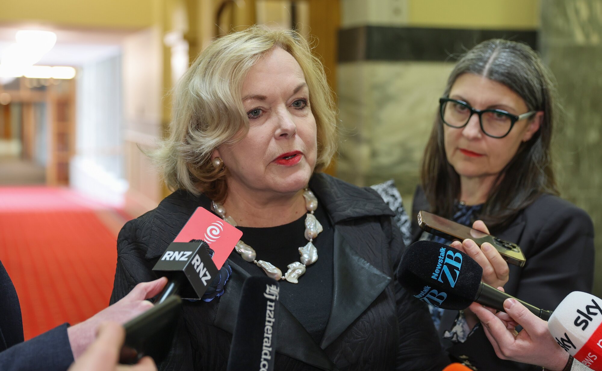 Public Service Minister Judith Collins. Photo / Mark Mitchell