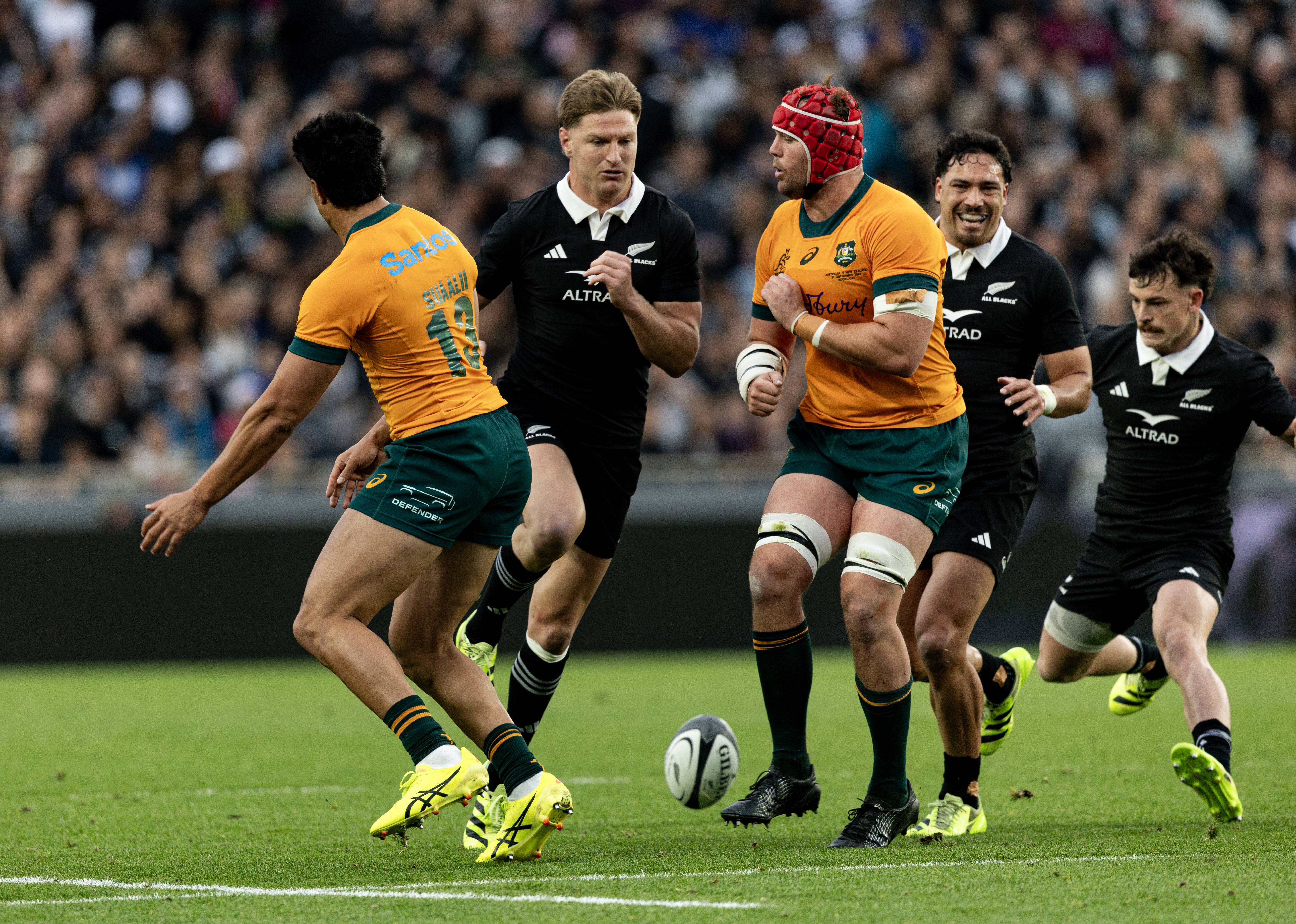 All Blacks midfielder Jordie Barrett puts a kick through against the Wallabies. Photo / Dean Purcell