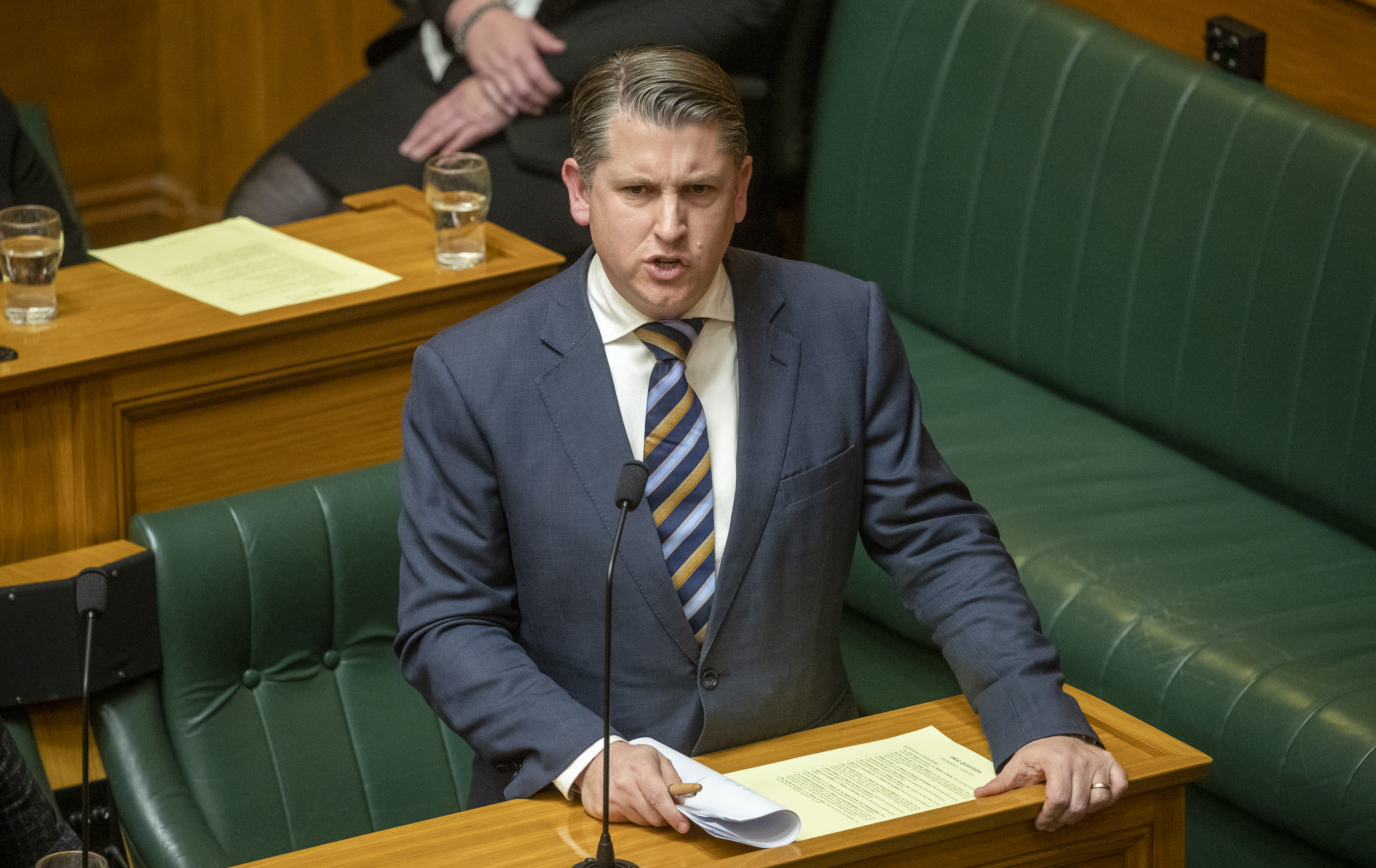Former transport Minister Michael Wood proposed a more modest transport plan. Photo / Mark Mitchell