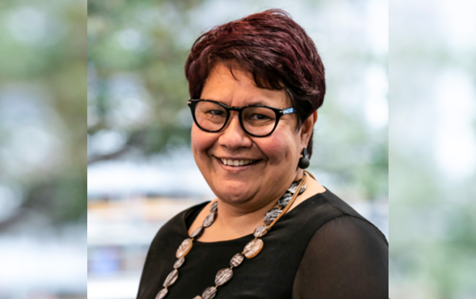 ERO deputy chief executive Jane Lee said the new evaluation model for schools could provide more accountability. Photo / Supplied