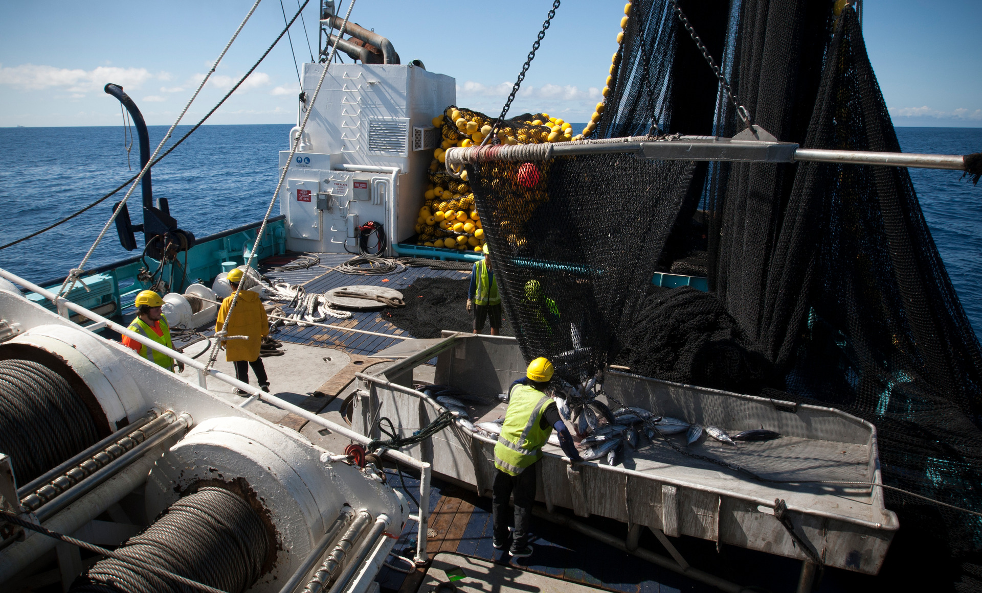 The Government wants cameras on all commercial fishing boats. Photo / Greg Bowker