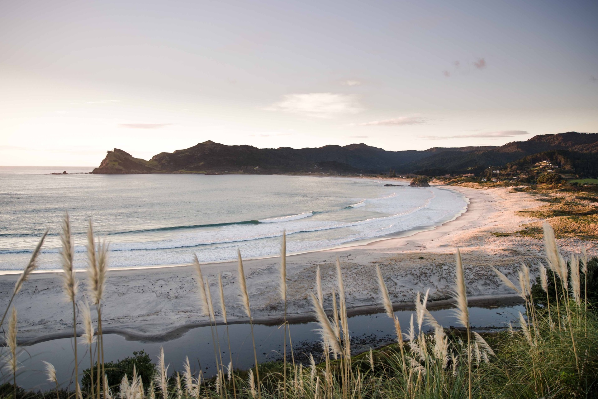 Medlands Beach on Great Barrier Island. Photo / Supplied