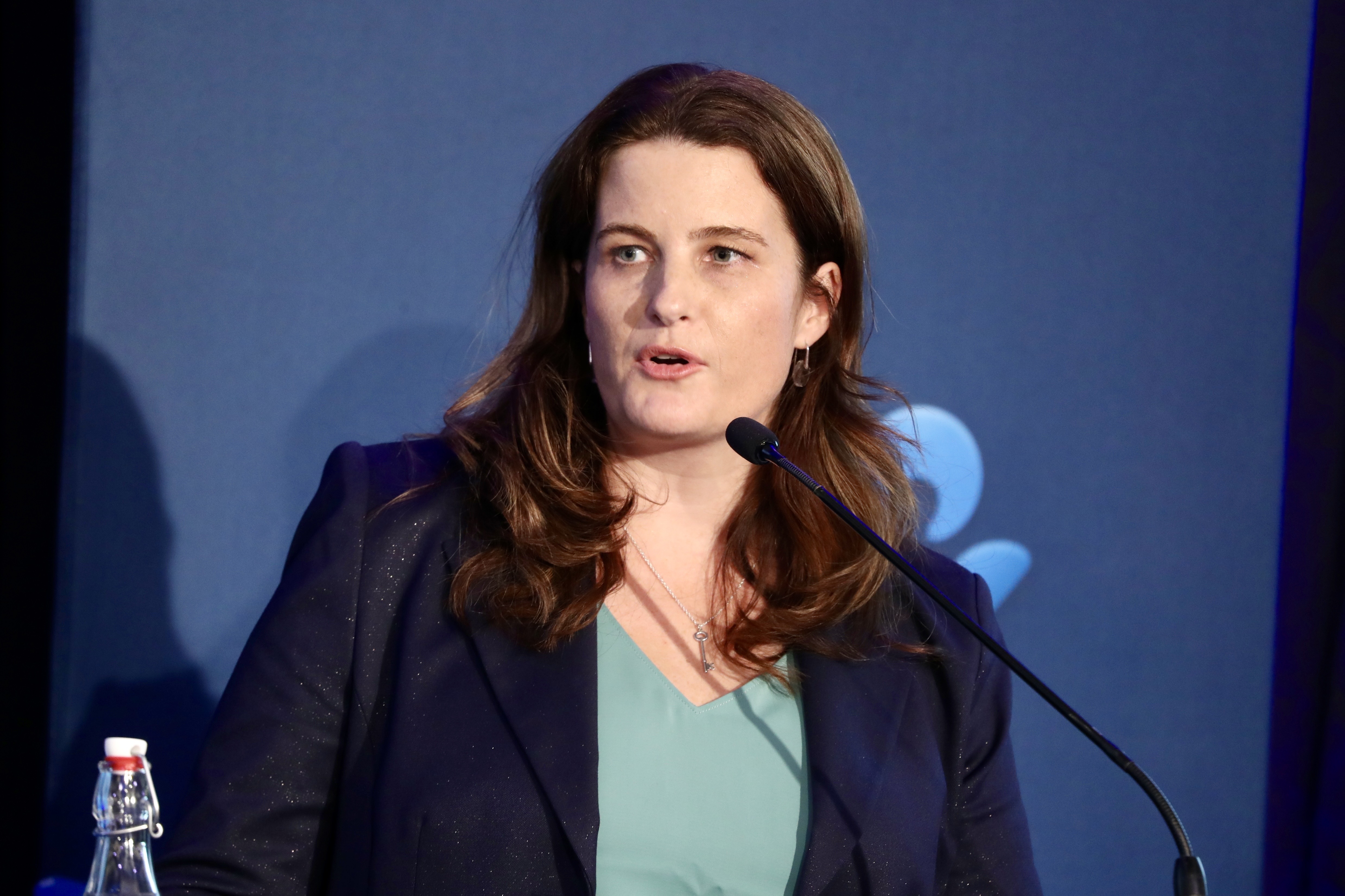 Finance Minister Nicola Willis cancelled the $3 billion mega ferry project last year due to significant cost blowouts. Photo / Mark Mitchell