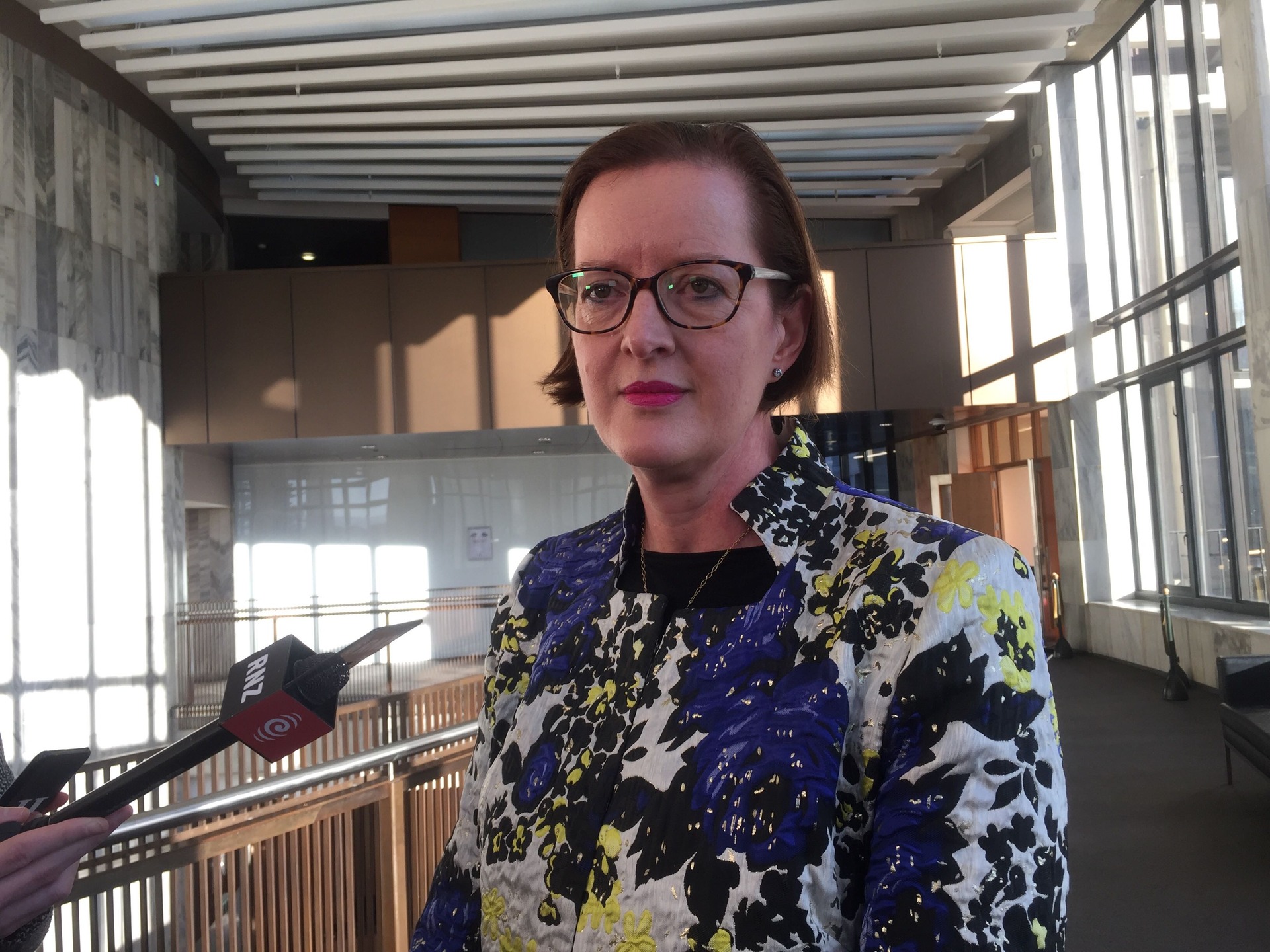 Corrections chief executive Christine Stevenson says it will take generations to reduce the rate of Maori imprisonment to the same as the general population. Photo / Derek Cheng
