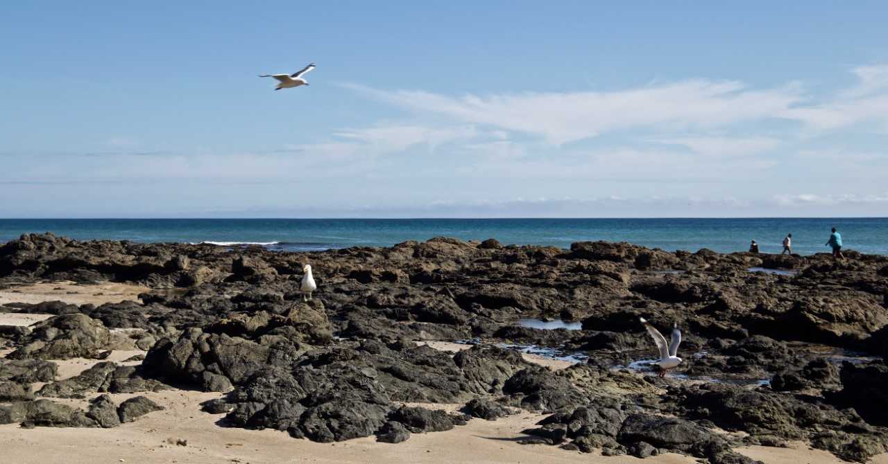 The diver was last seen near Tauroa (Reef) Point before he was reported as missing.