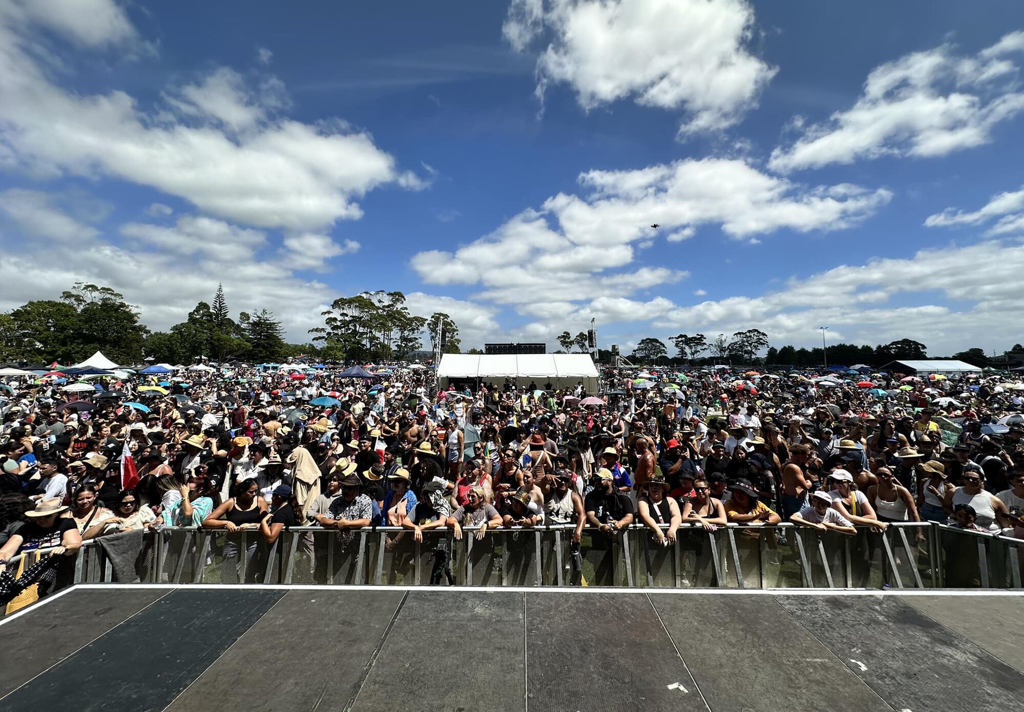 The crowd at the Waitangi Day festival in West Auckland this year. Large, crowded spaces were the focus of a specific security strategy that is yet to gain public profile. Photo / Te Whanau O Waipaeira