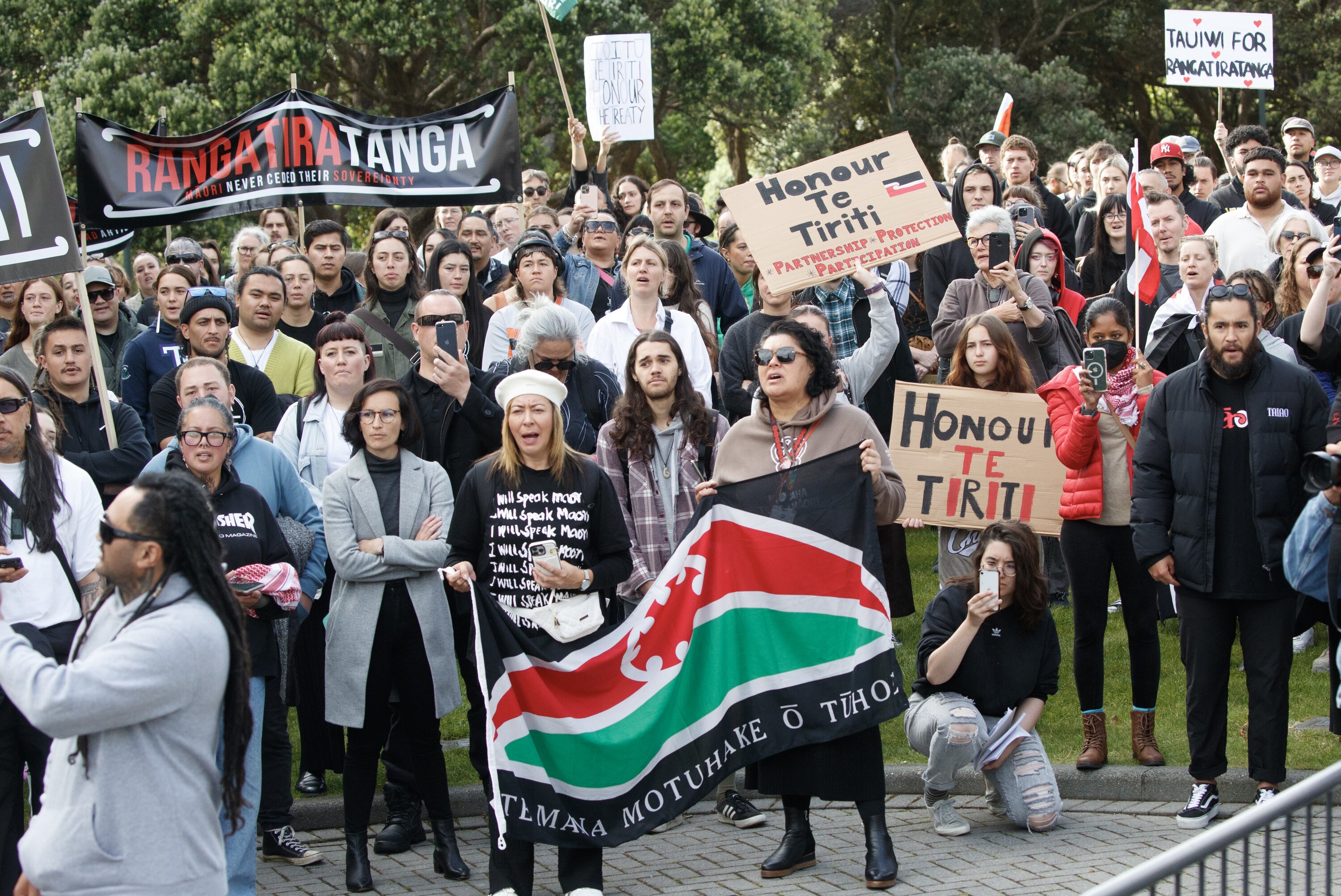 National Māori Action Day protesters at Parliament. Photo / Mark Mitchell