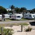 Caravans at the Takapuna Beach Holiday Park. Photo / Doug Sherring