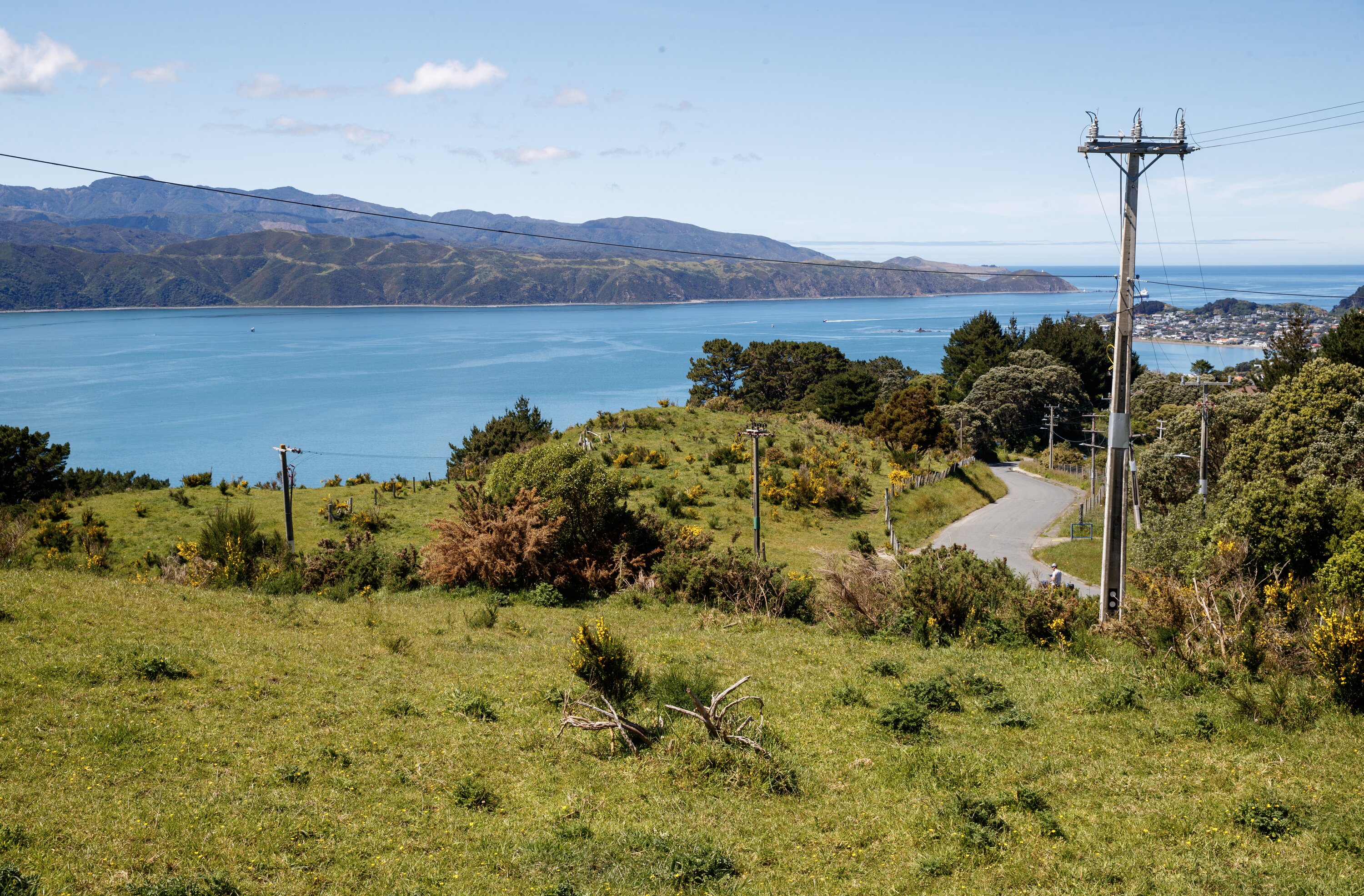 Taranaki Whānui has the first right of refusal over both sites. Photo / Mark Mitchell.