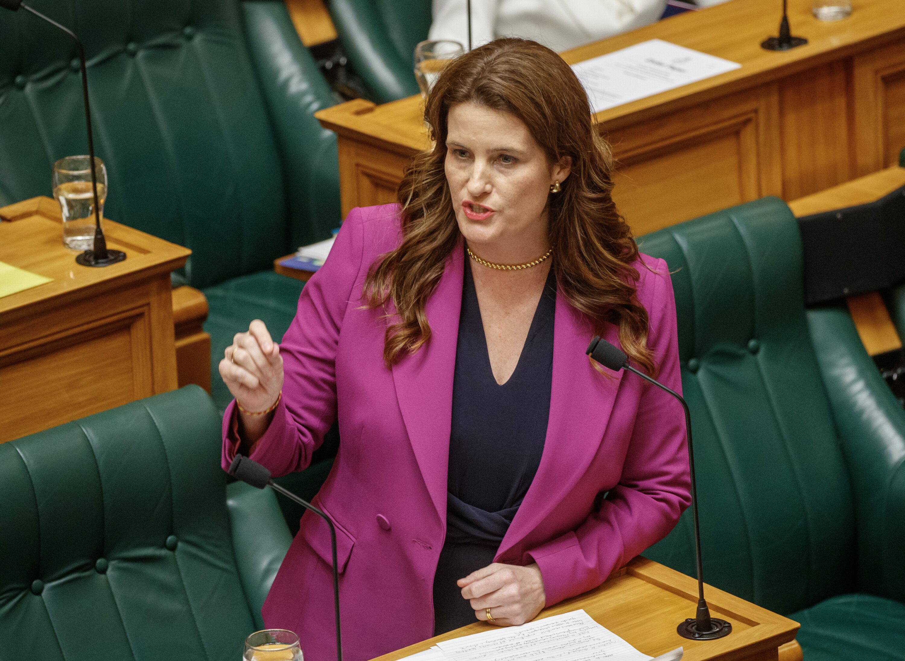 Finance Minister Nicola Willis says she is 