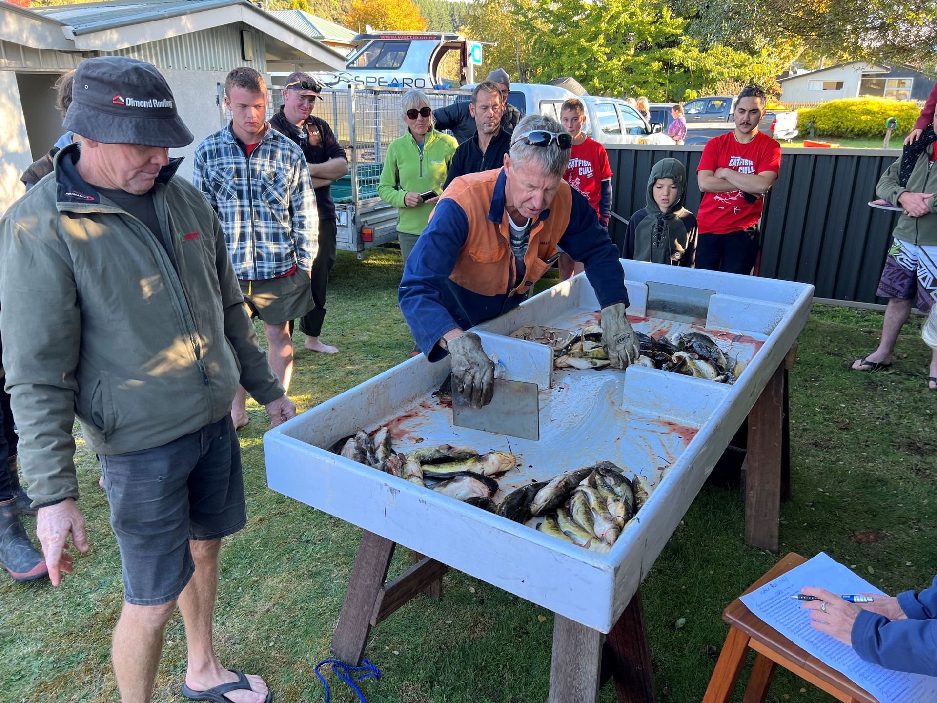 Spearfishing New Zealand holds 2022 Rosemergy Catfish Cull in Lake Taupō -  NZ Herald