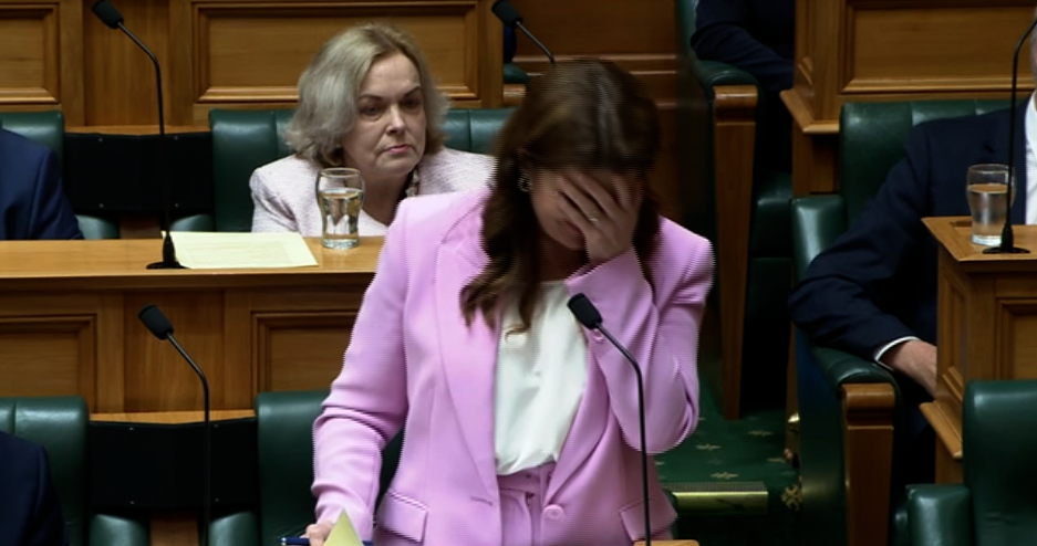 Finance Minister Nicola Willis puts her hand to her head after making an inadvertent innuendo in the House during Parliament's Question Time. Photo / Parliament TV