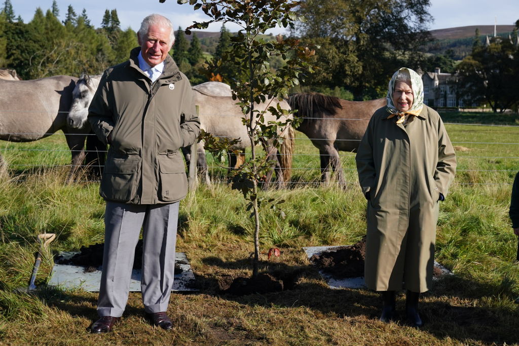 The Queen oversaw the planting of trees across the UK to mark her 70 years of service - now Charles will get 100,000 trees planted across NZ in his name. Photo / Getty Images